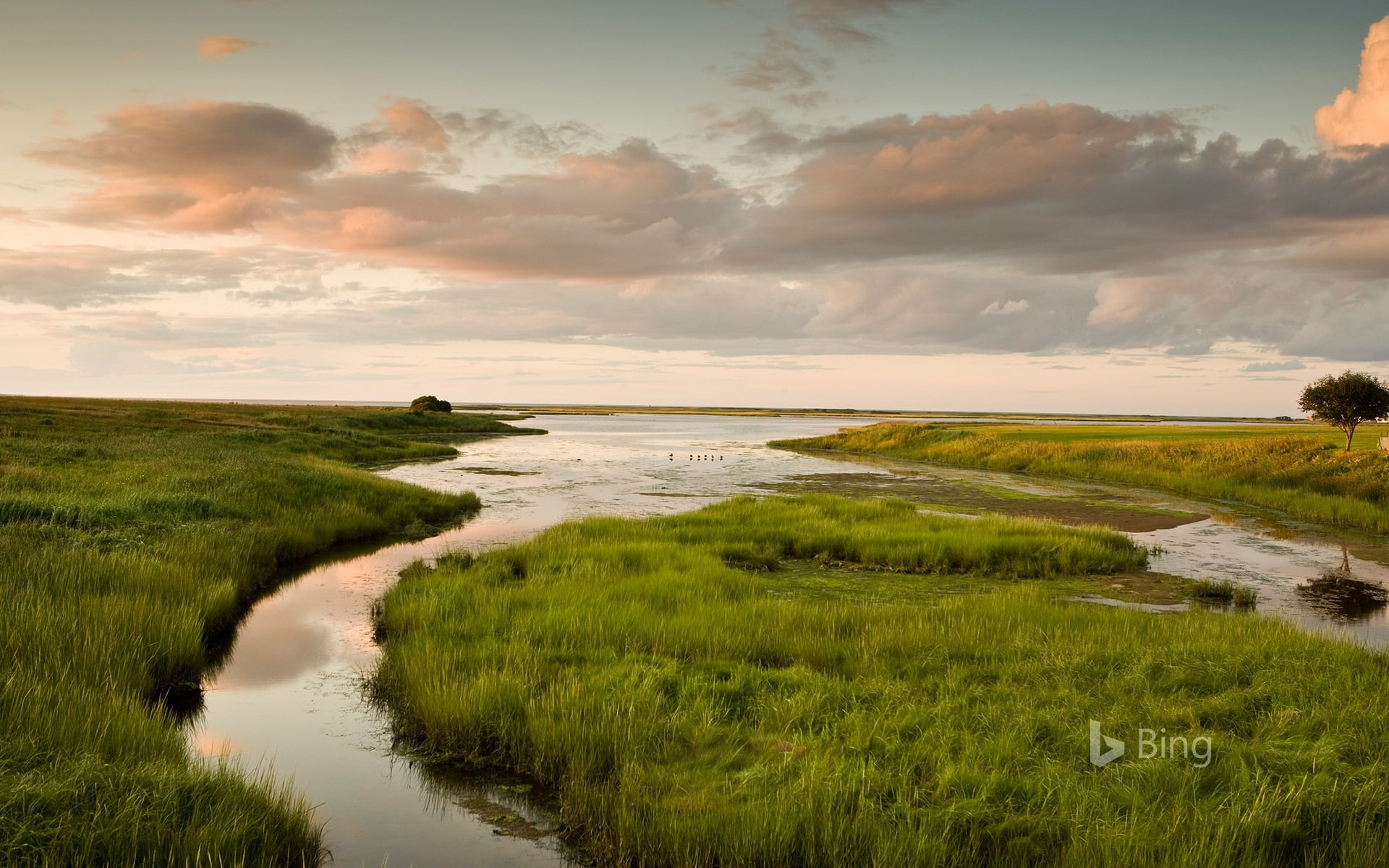 water, bing, grass, sunset, field, plant, brunswick, canada, new, 1080P, beach, tranquil scene, sky, scenics - nature, sea, horizon over water, outdoors, HD Wallpaper