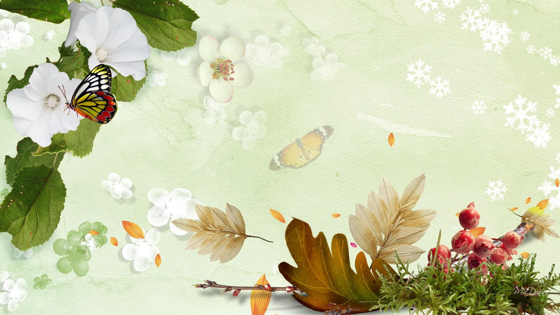 blooms, 1080P, celebrate, butterfly, papillon, snow, berries, leaves, seasons, frost, flowers, snowflakes, sakura, fleurs, fall, HD Wallpaper