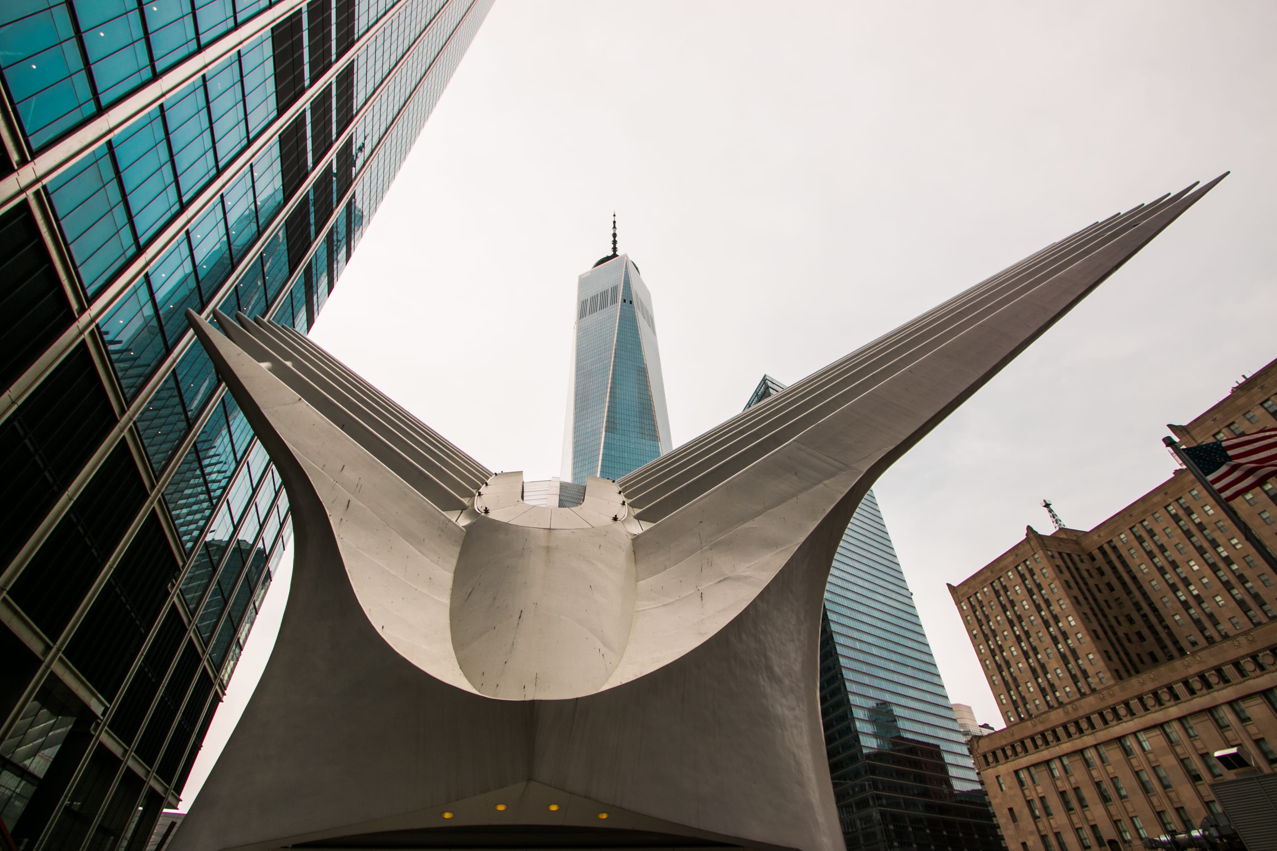 spire, financial district, tall - high, place of worship, wtc, cityscape, perspective, 4K, religion, occulus, southern manhattan, low angle view, skyscraper, HD Wallpaper