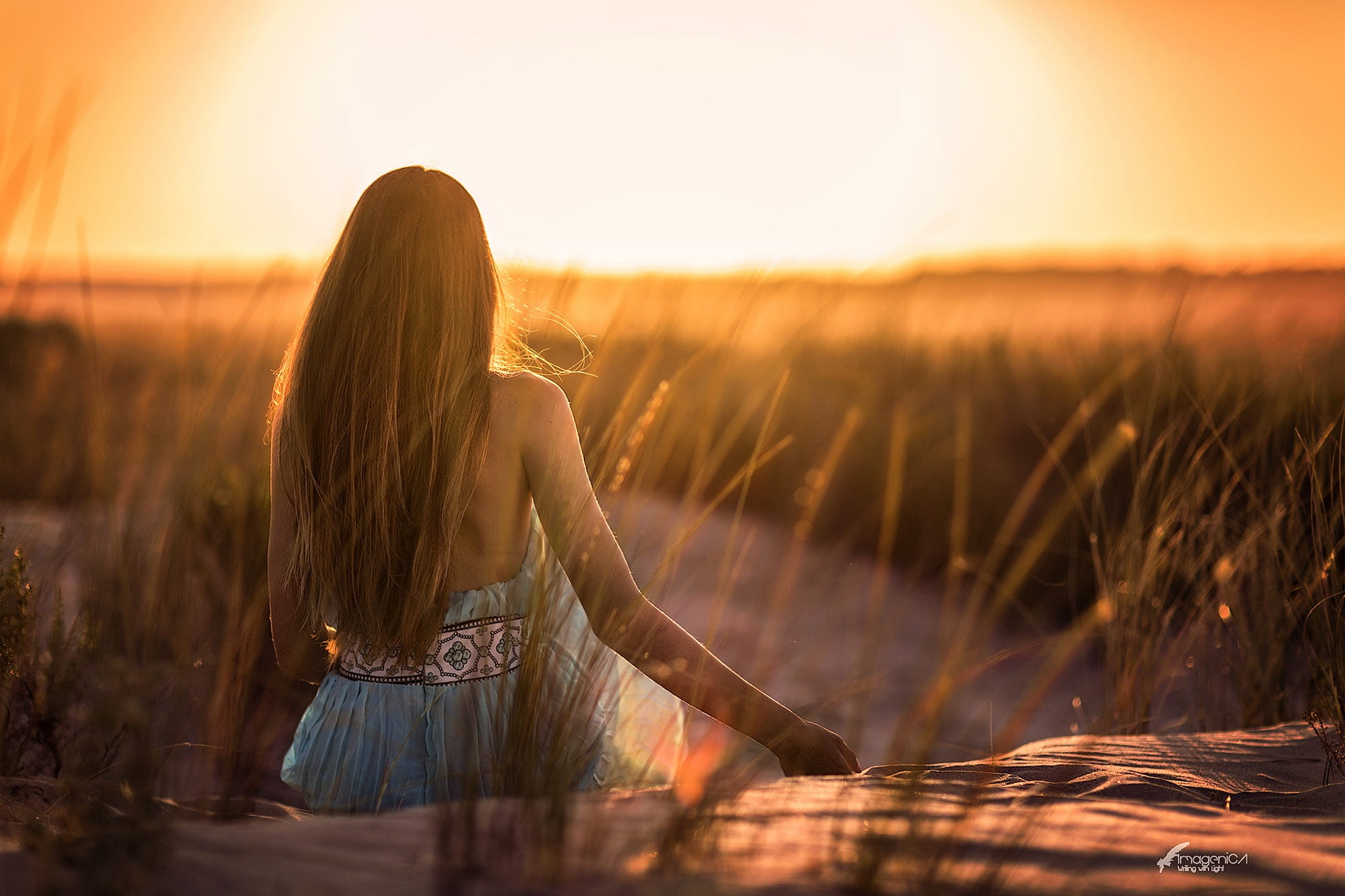 Antonio Conde, girl, hair, 1080P, the sun, back, HD Wallpaper