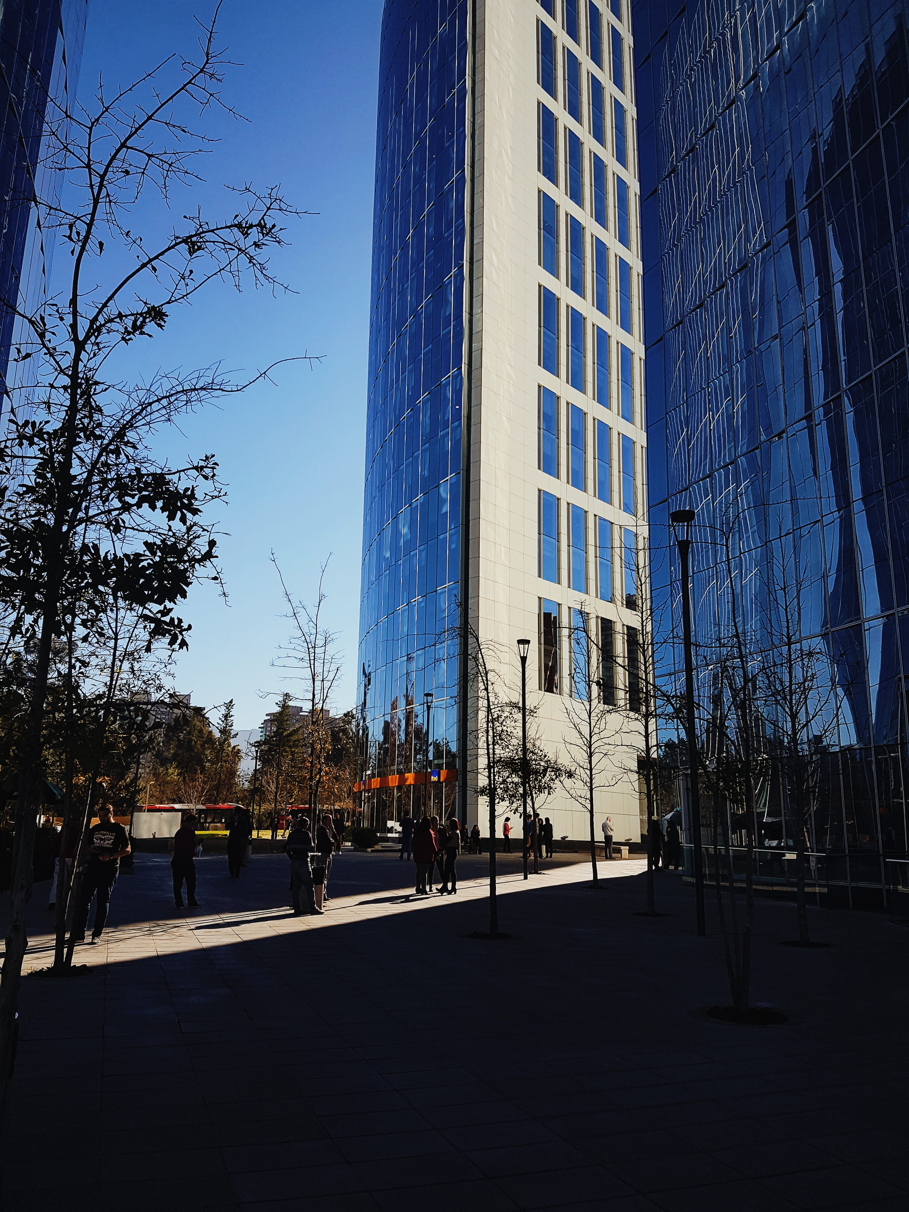 sunlight, nature, city, office building exterior, architecture, no people, chile, built structure, clear sky, plant, glass - material, bare tree, av. apoquindo 4800, Phone HD Wallpaper