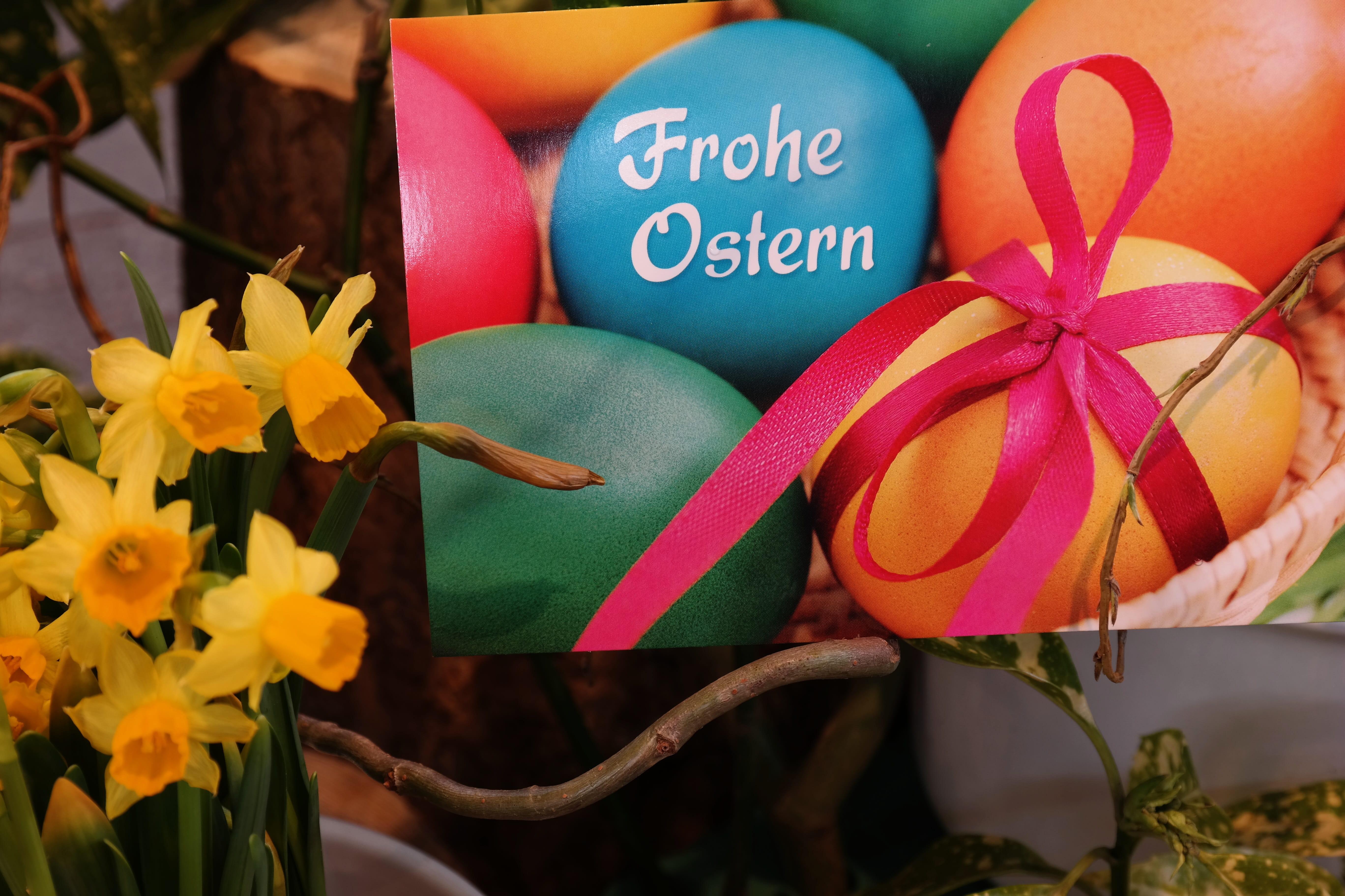 outdoors, close-up, gift, decoration, art and craft, Greeting, celebration, postcard, no People, colorful, springtime, greeting card, pink Color, cultures, HD Wallpaper