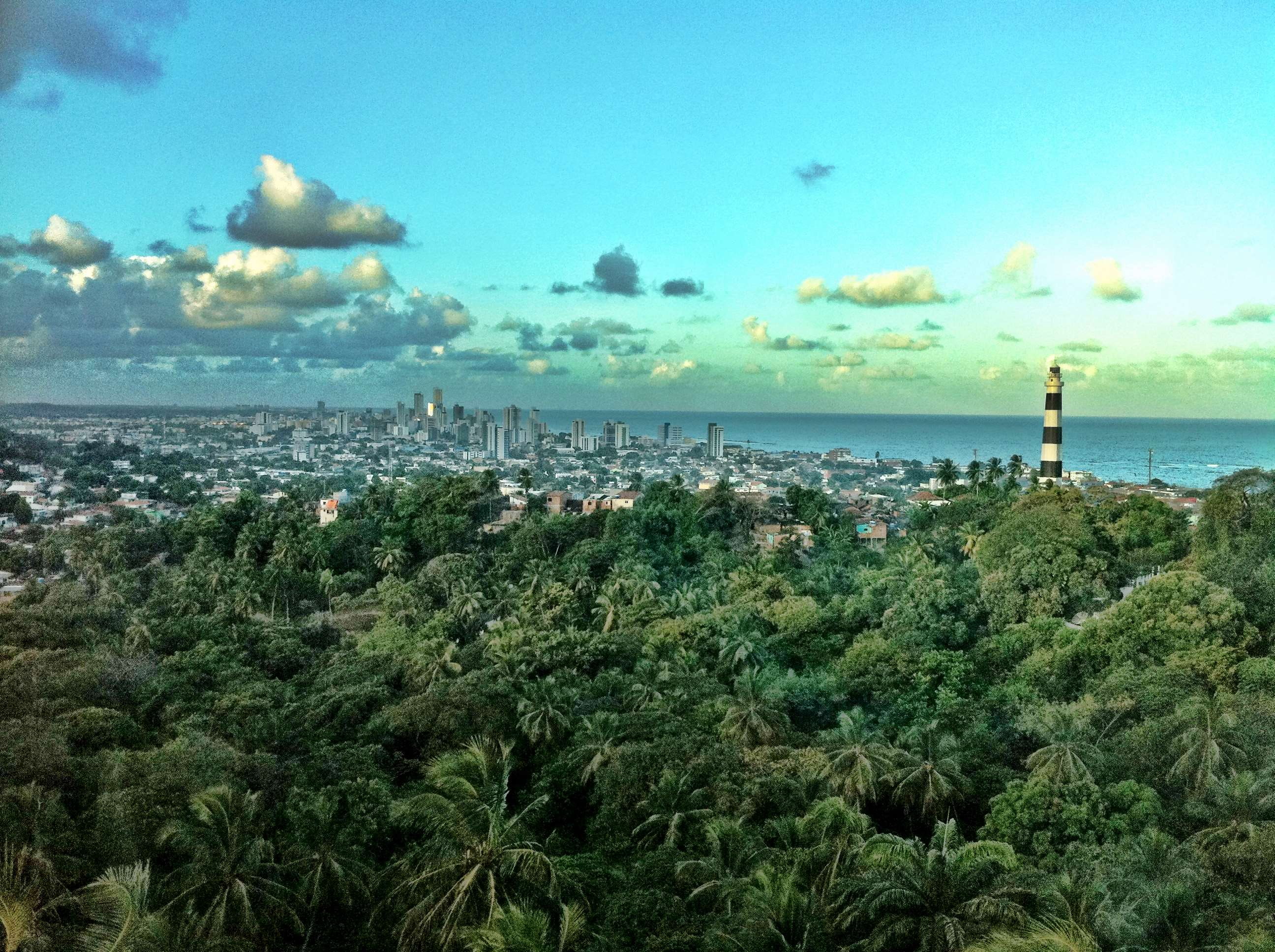 plant, beach, brazil, sky, nature, observation tower, land, city, water, tree, horizon, tranquility, jungle, tranquil scene, horizon over water, outdoors, HD Wallpaper