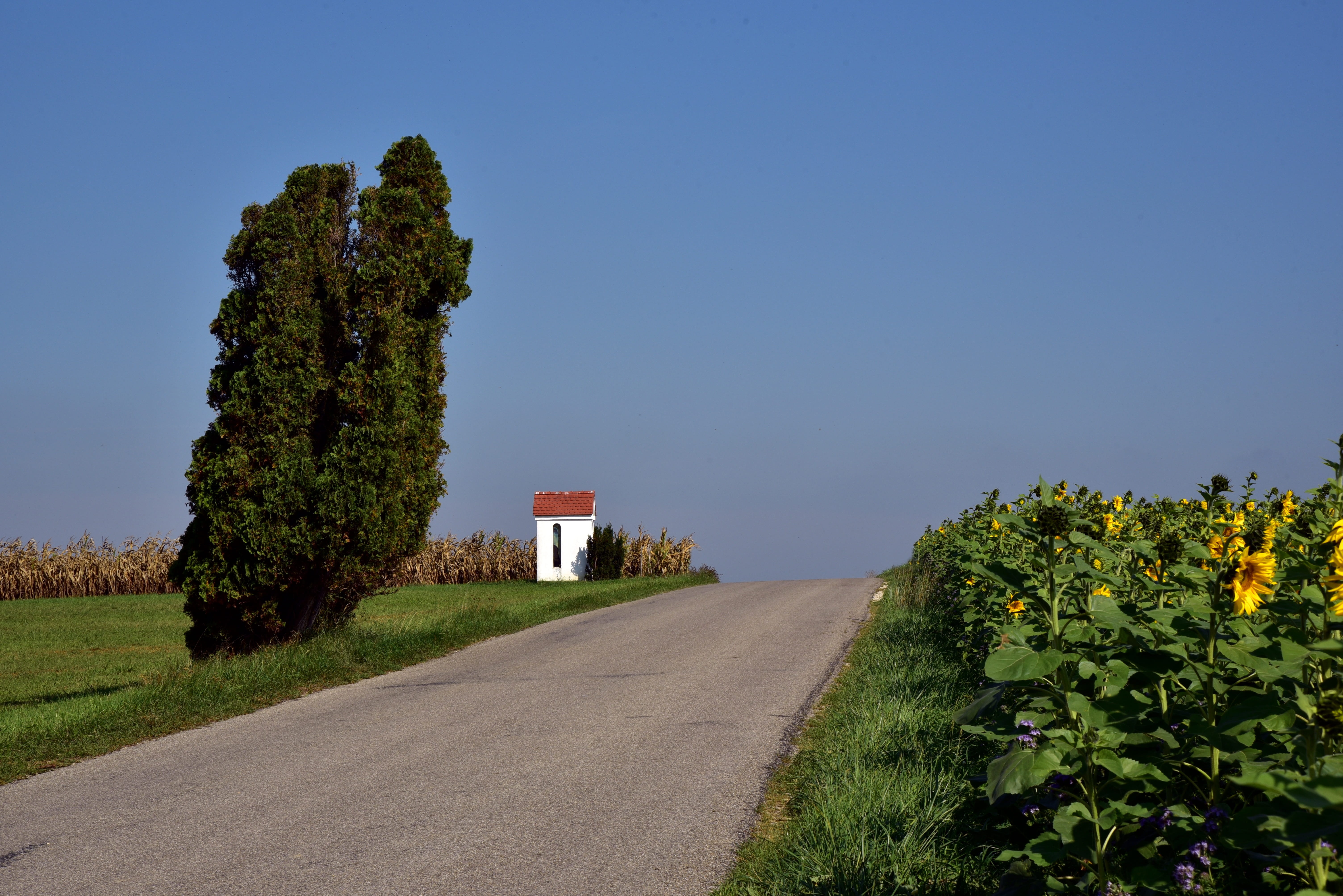 direction, no people, tradition, swabia, tranquility, outdoors, land, small, summer, landscape, trees, field, rural scene, chapel, asphalt, transportation, HD Wallpaper