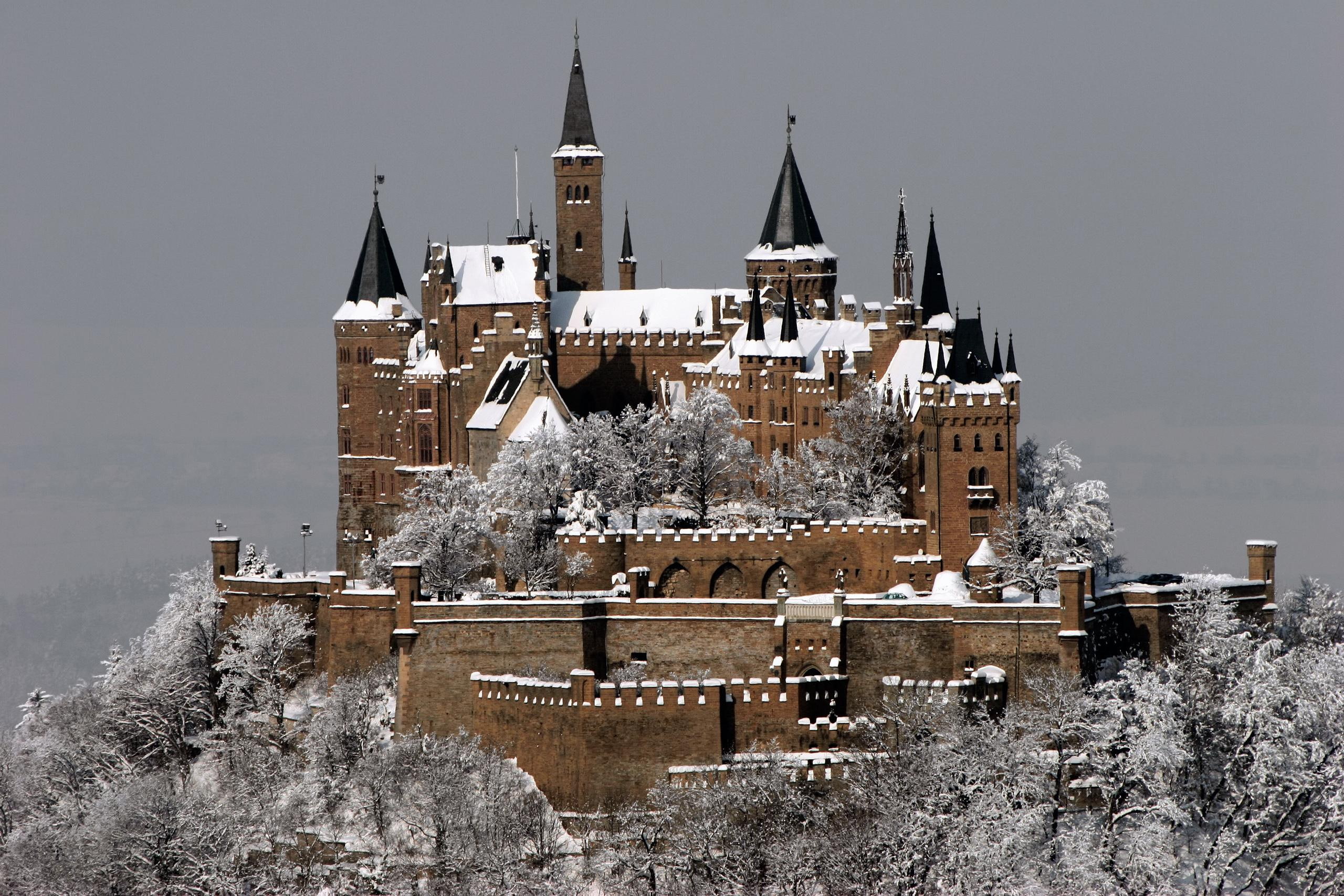 winter, animals, 2K, germany, snow, architecture, hohenzollern, stuttgart, castle, trees, HD Wallpaper