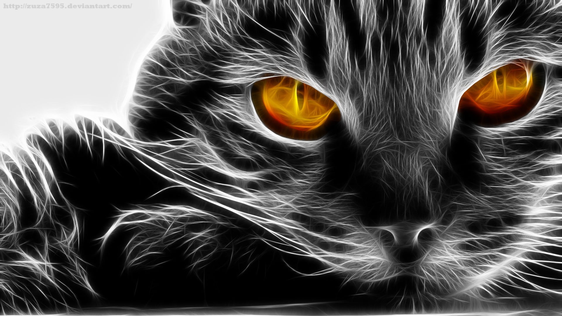 domestic cat, animal themes, indoors, animal body part, orange color, domestic, whisker, pets, looking at camera, no people, cat, portrait, Fractalius, HD Wallpaper