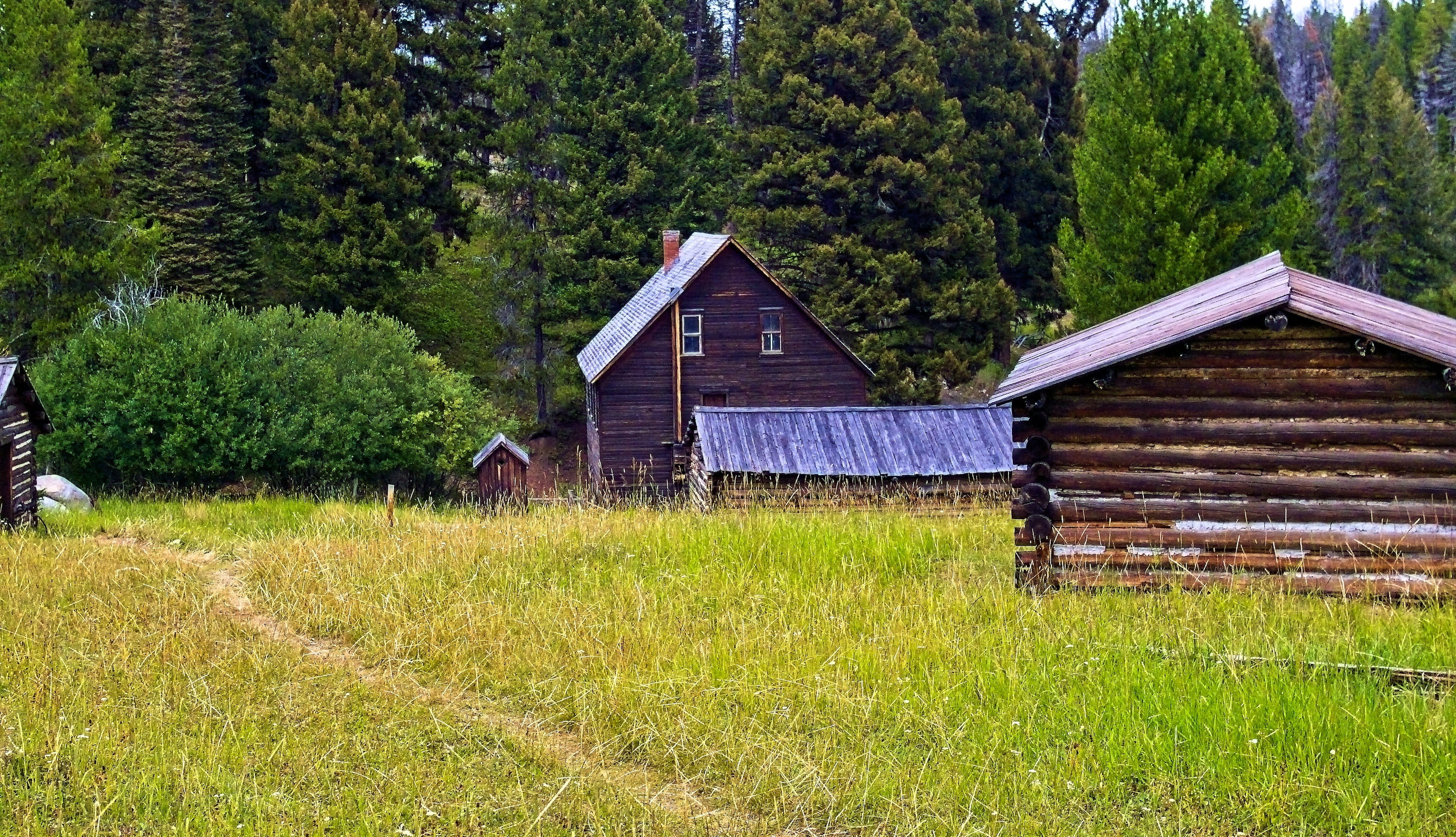 deserted, wood - material, land, mine, montana, no people, beauty in nature, historic, field, old, cabin, mountains, built structure, aged, antique, plant, HD Wallpaper