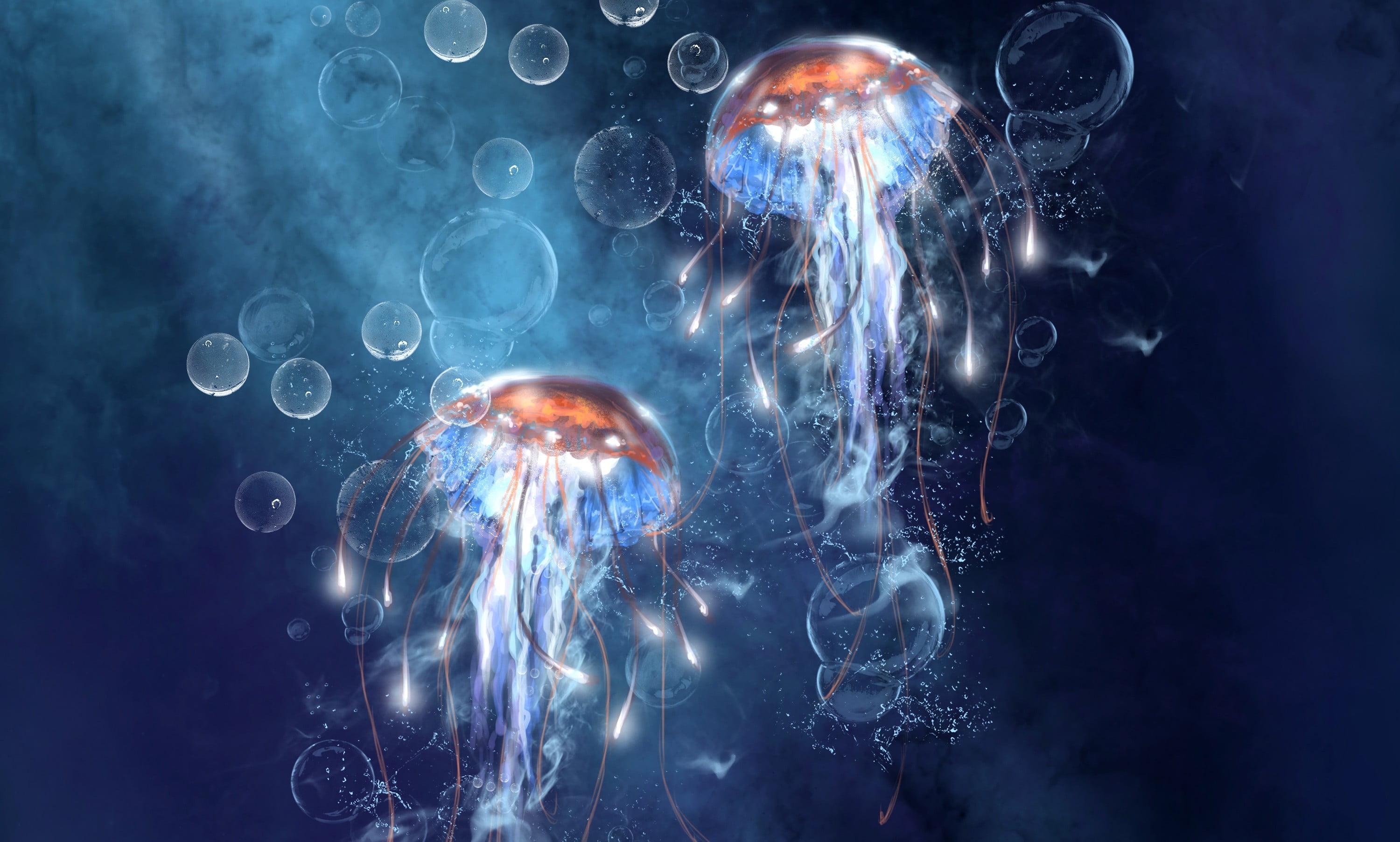 nature, water, underwater, black background, futuristic, 2K, art, fantasy, glowing, blue, blue background, jellyfish, sea, studio shot, digital composite, HD Wallpaper