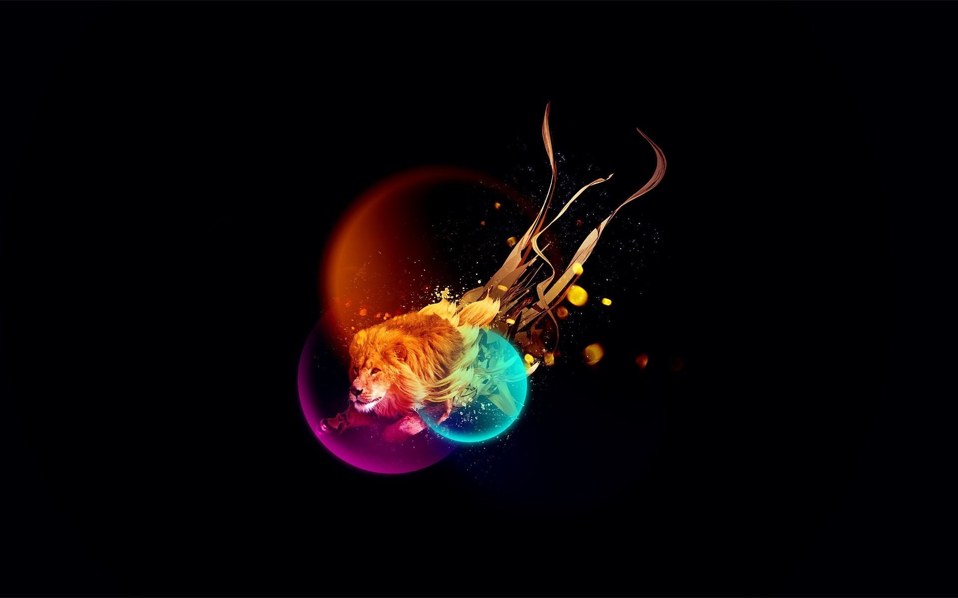 drop, multi Colored, close-up, multicolored rays, lion, heat - Temperature, red, illustration, abstract, 1080P, impact, jellyfish, fire - Natural Phenomenon, HD Wallpaper