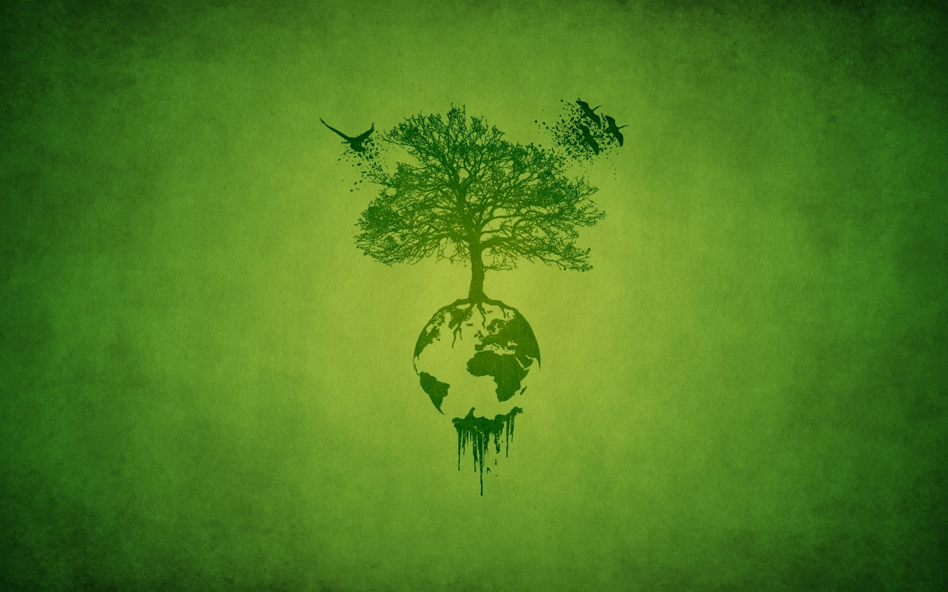 cartography, single object, recycling, damaged, roots, planet - Space, care, shape, growth, birds, plant, land, leaves, green Color, green, copy Space, HD Wallpaper
