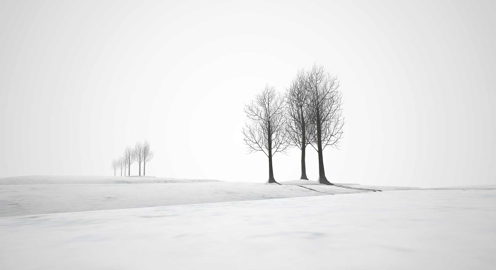 landscape, forest, cold - Temperature, 1080P, frost, phtography, trees, season, sinne, bare, scale, winter, snow, outdoors, tree, nature, gray, white, HD Wallpaper