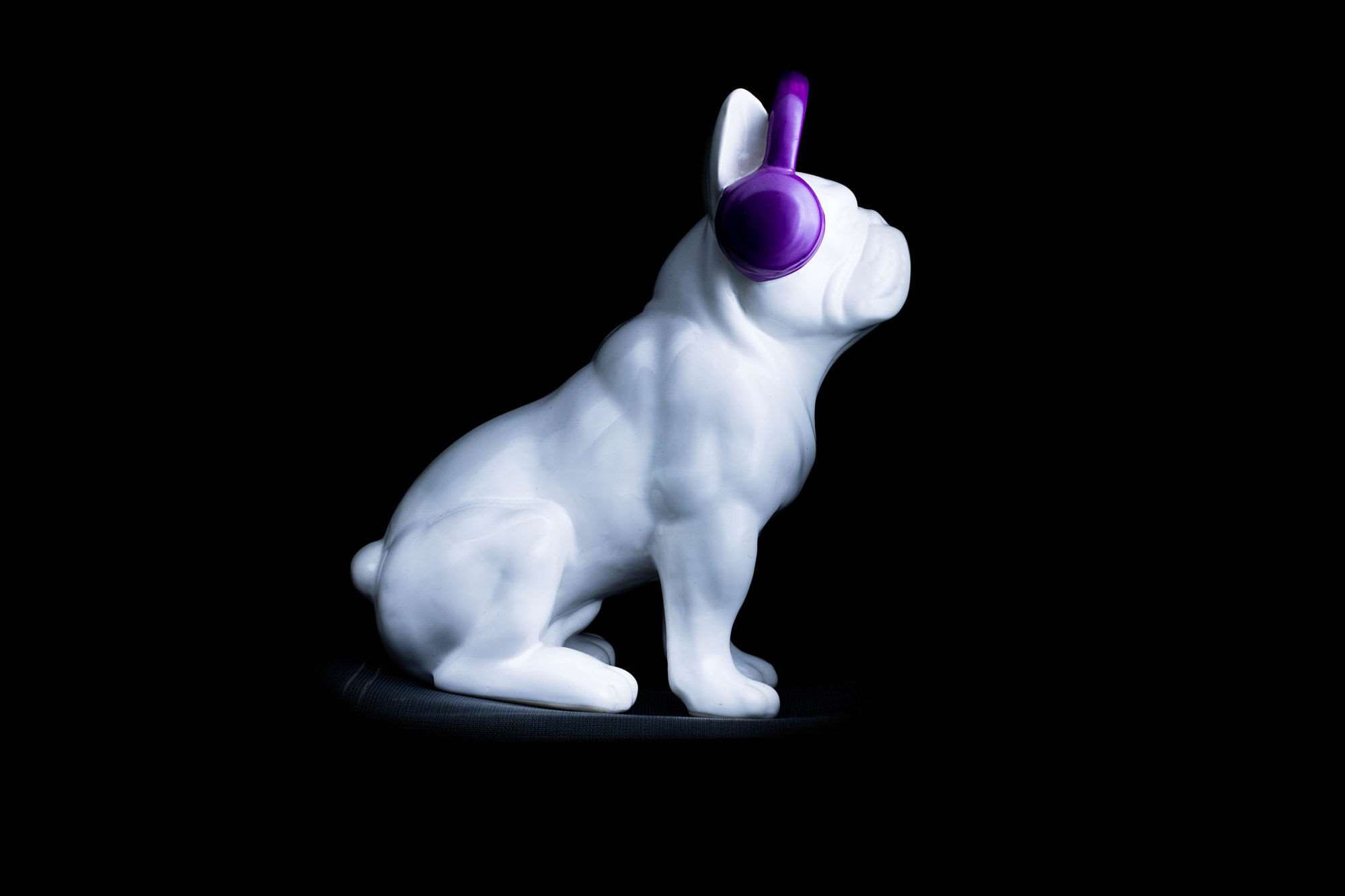 candle, motion, flame, web, canon, fire, lighting equipment, glowing, studio shot, cut out, fire - natural phenomenon, dog, single object, black and white, HD Wallpaper