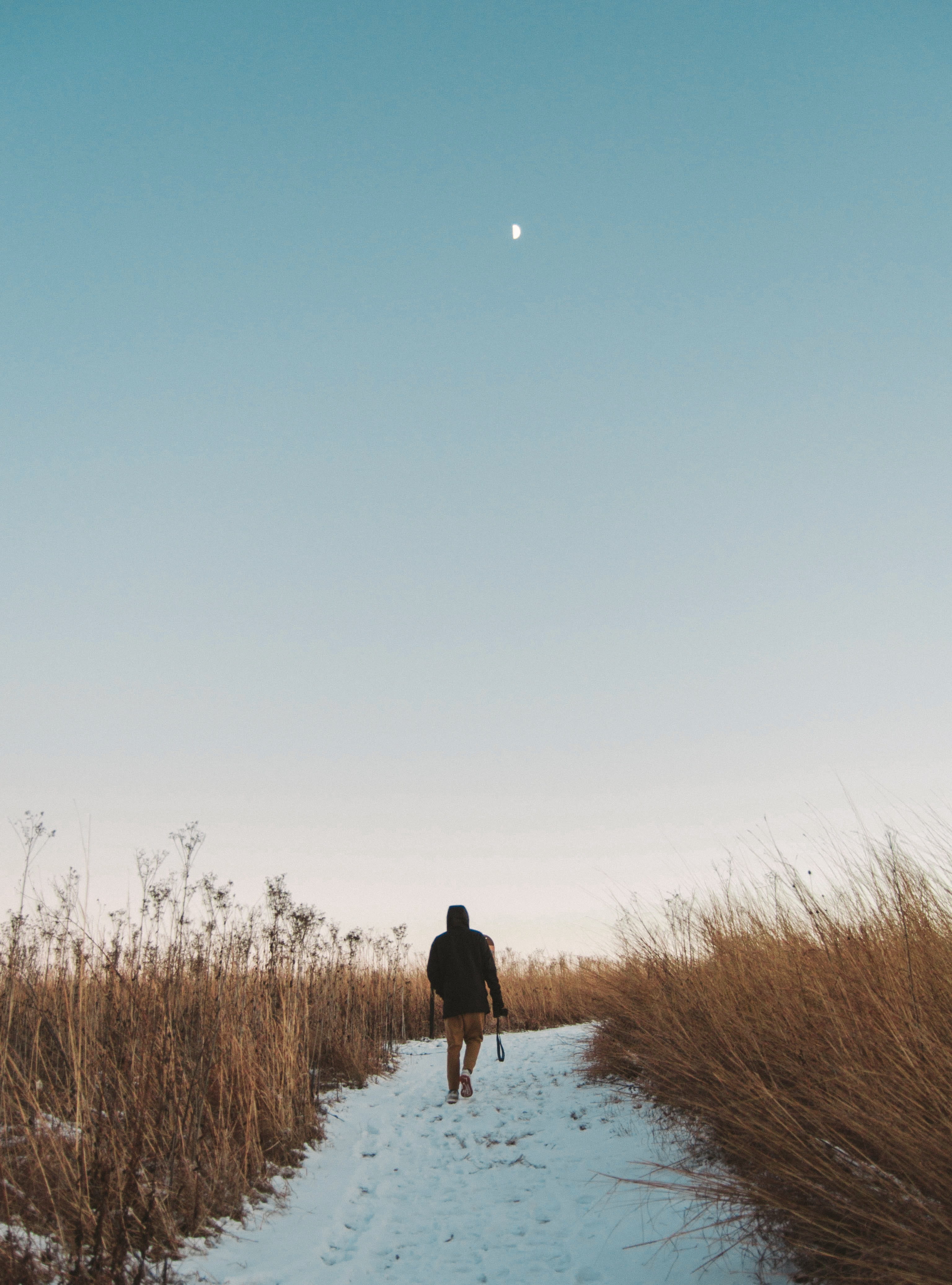 outdoors, wisconsin, real people, snow, sony, walk, sumset, grass, plant, beauty in nature, moon, winter, scenics - nature, lifestyles, tranquil scene, Phone HD Wallpaper