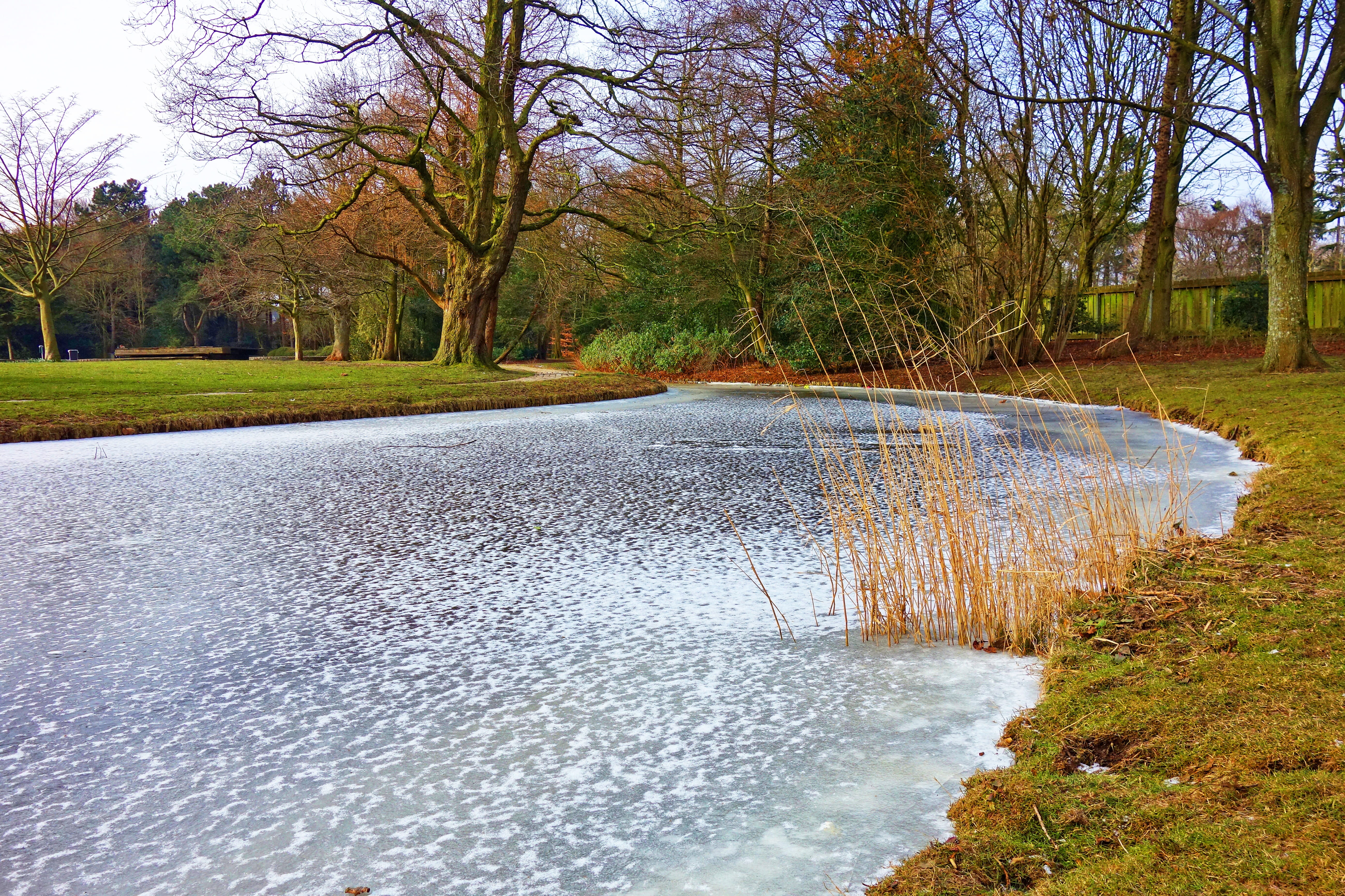 park, frozen water, below zero, flowing, tranquil scene, winter, reeds, scenics - nature, road, flowing water, pond, banks, land, frozen pond, beauty in nature, HD Wallpaper