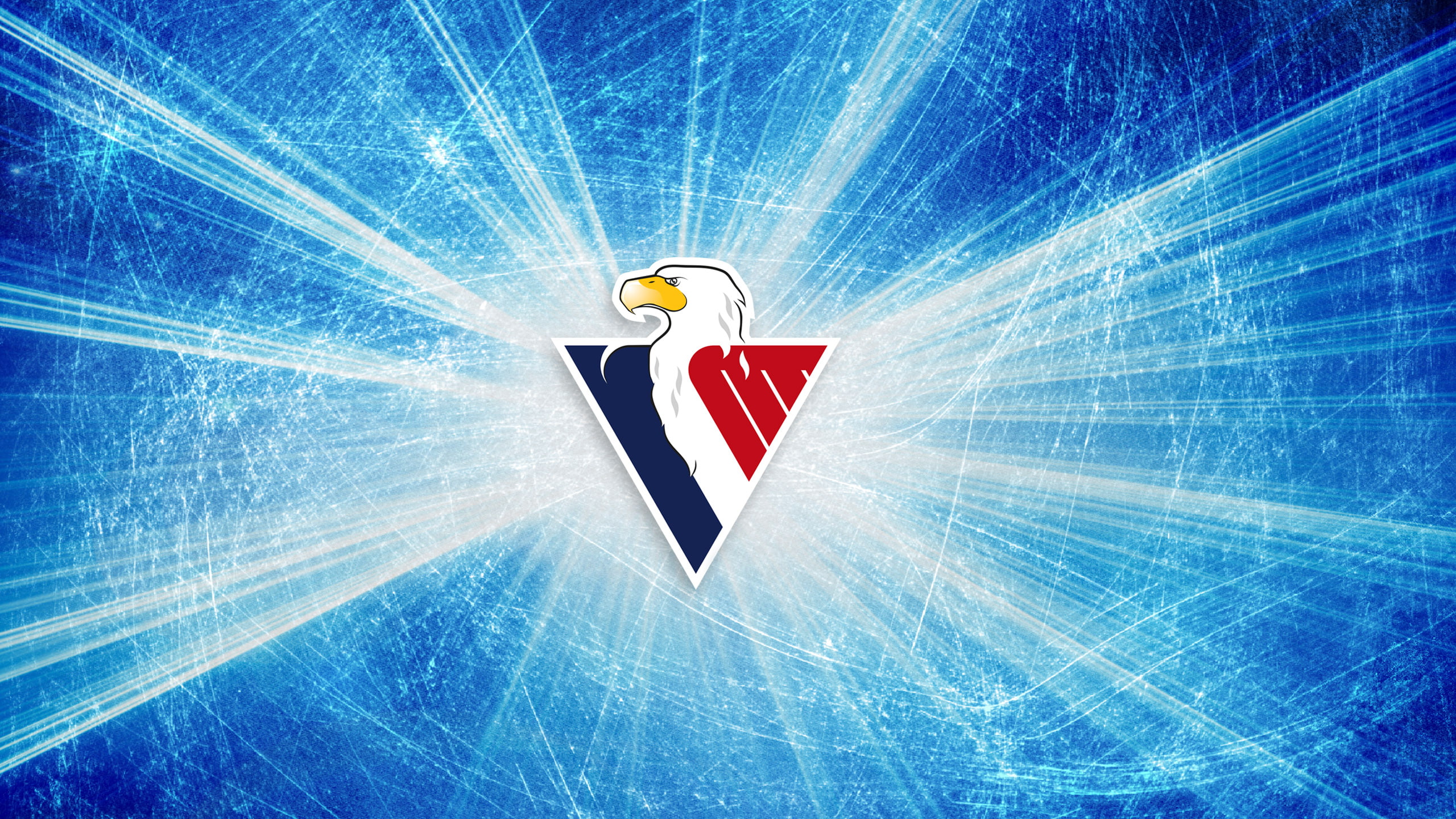 eagle, animals, digital art, triangle, 2K, Slovan Bratislava, ice hockey, ice, logo, birds, HD Wallpaper