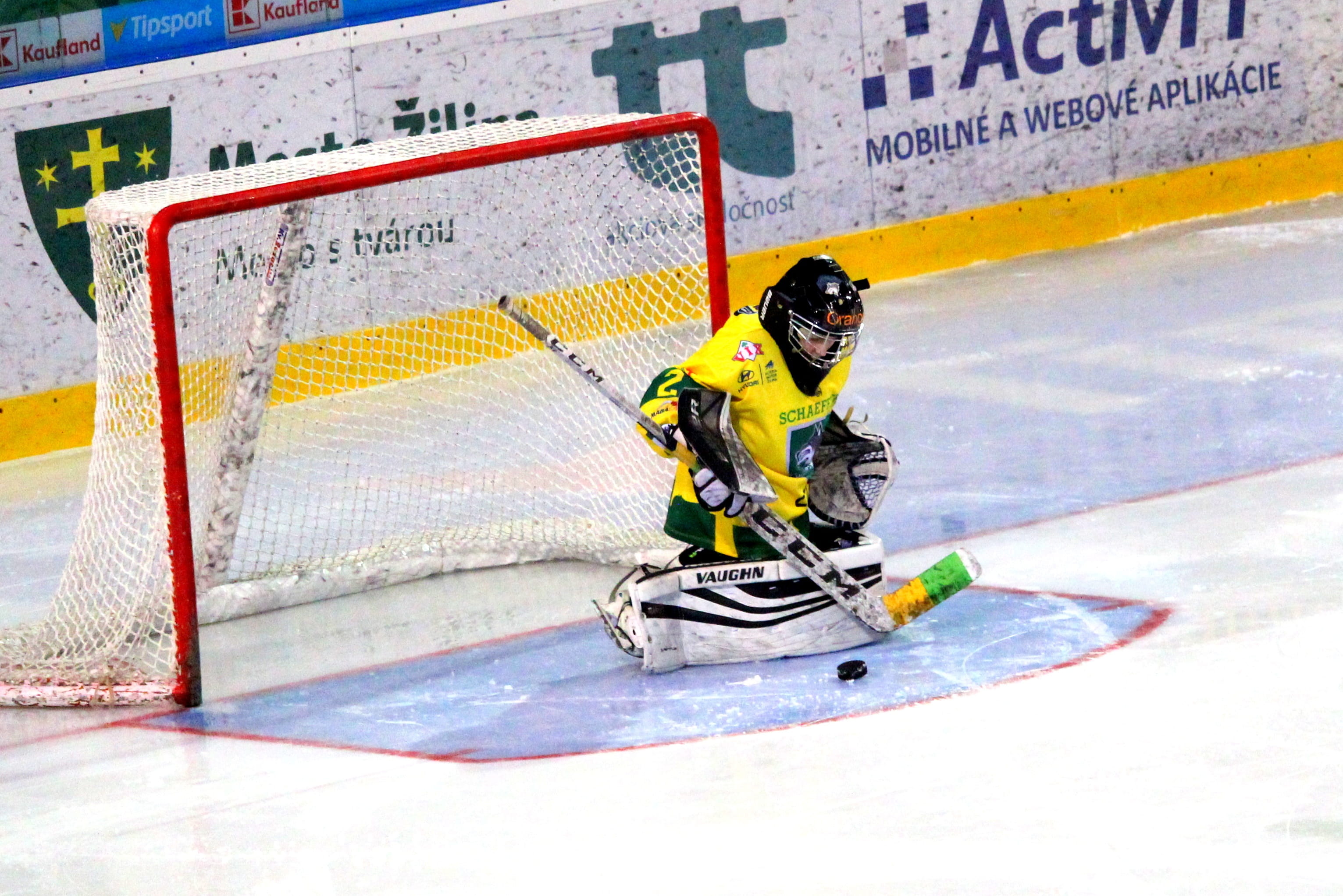 competition, the puck, activity, winter, athlete, hockey, 2K, competitive sport, winter sport, action, ice rink, arena, snow, helmet, ice, people, goalkeeper, HD Wallpaper