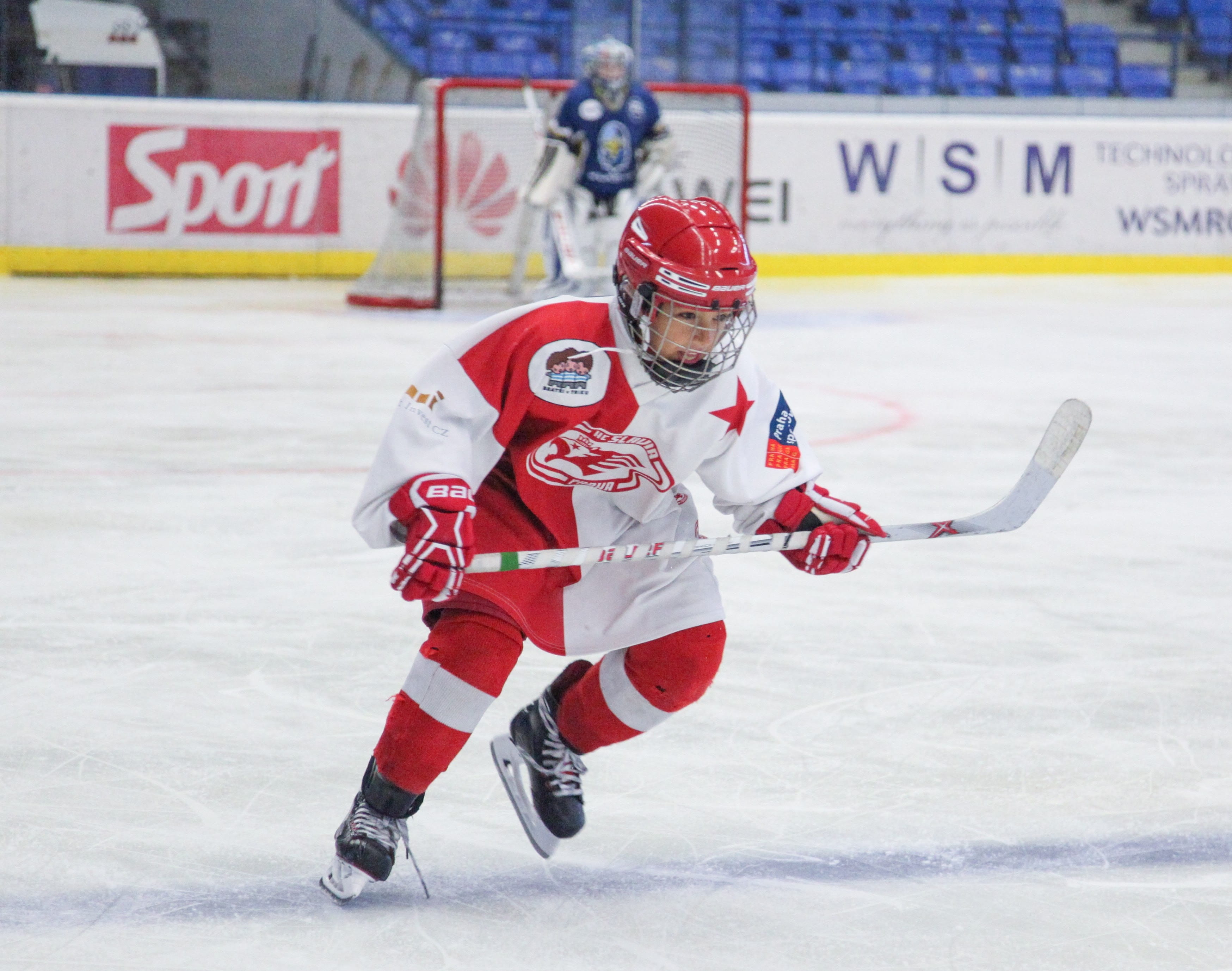 protection, winter sport, skater, safety, full length, captain, sports helmet, ice hockey, sport, people, slavia, competition, ice-skating, snow, cold temperature, HD Wallpaper