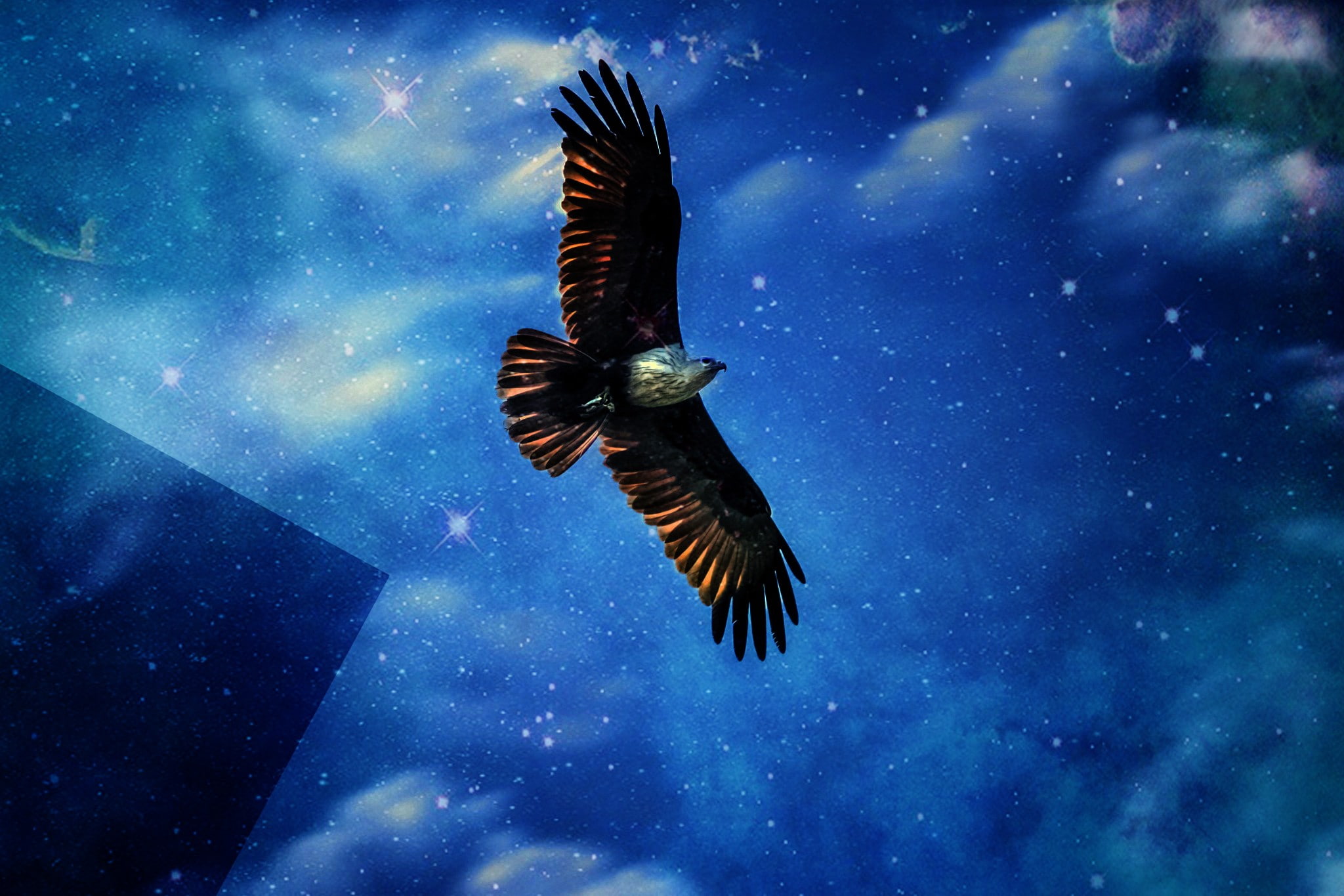 1080P, Golden Eagles, Spiral Galaxy, HD Wallpaper