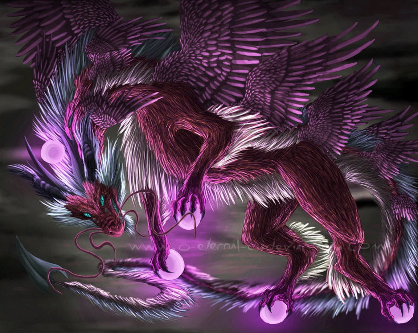 decoration, purple, pink color, creativity, dragon, multi colored, design, white, feather, still life, 720P, christmas, art and craft, illuminated, digital, HD Wallpaper