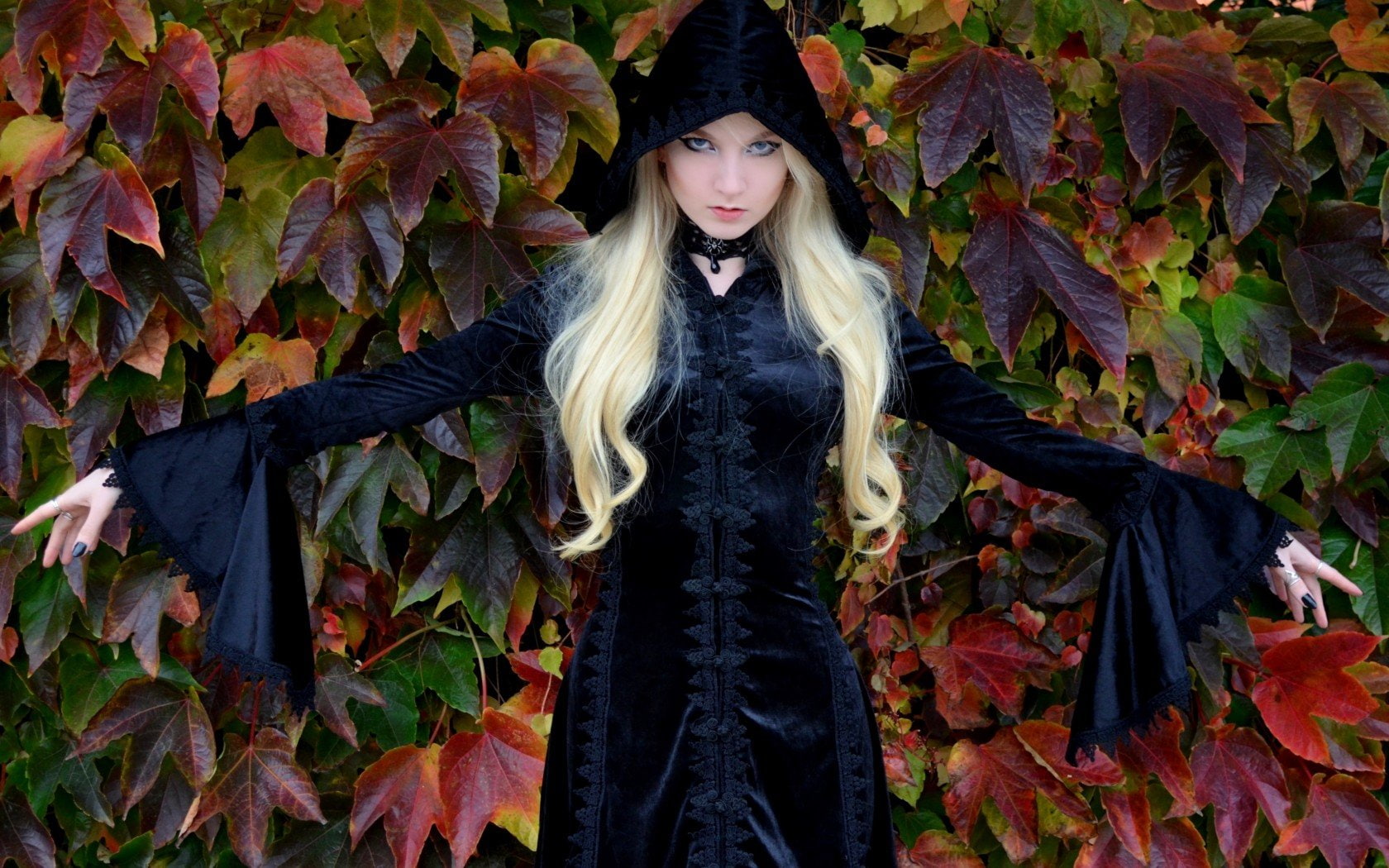 looking at camera, witch, occult, wicca, contemplation, fashion, religion, teenager, leaf, one person, autumn, leaves, real people, lifestyles, standing, HD Wallpaper