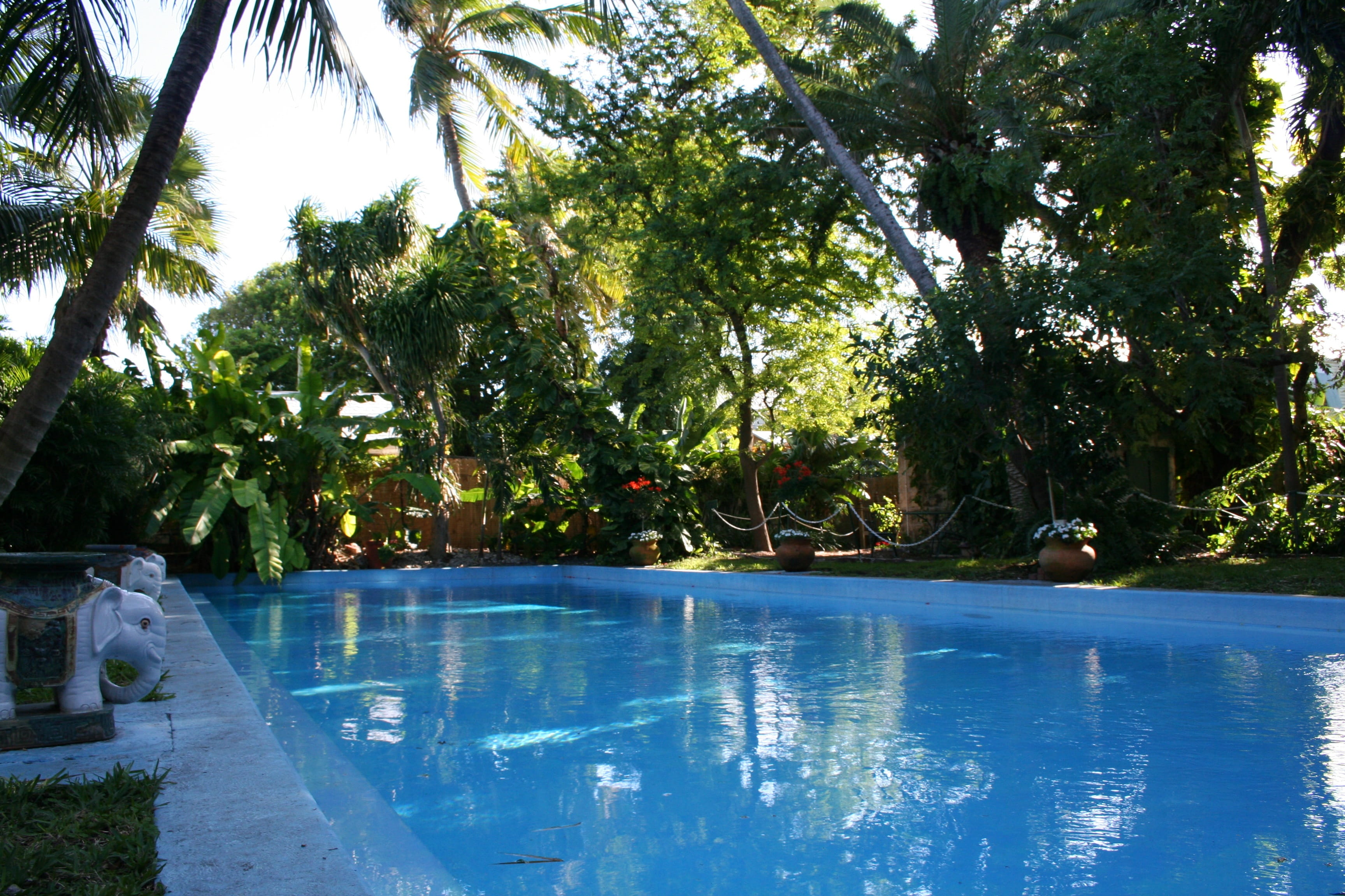 vacation, pool, outdoors, 2K, Hemingway, Florida Keys, nature, no people, summer, Key West, tranquility, luxury, day, sunlight, tree, waterfront, tourist resort, HD Wallpaper