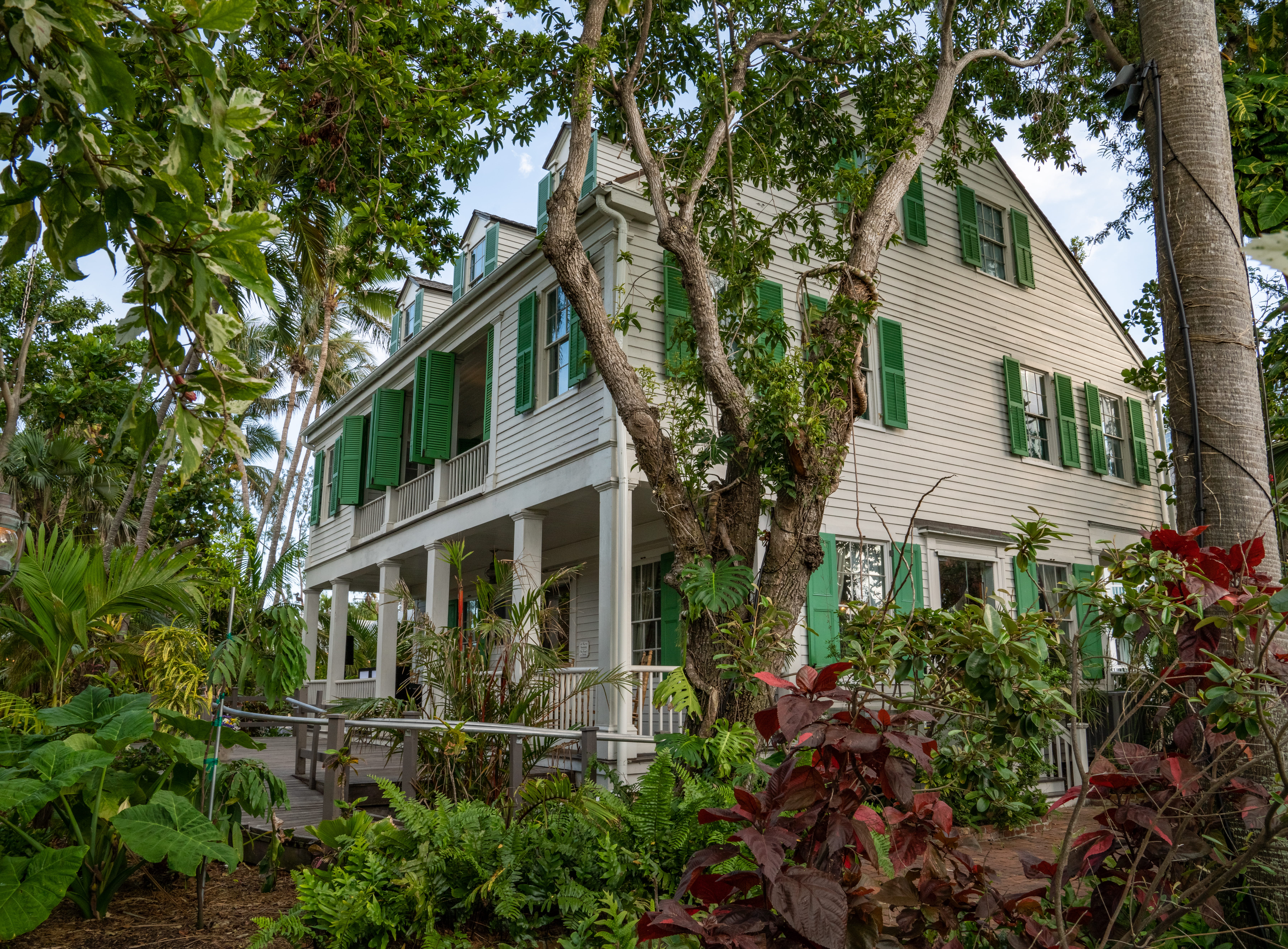photography, day, buildings, united states, residential district, historic, architecture, sky, leaf, outdoors, window, 5K, key west, green color, no people, HD Wallpaper
