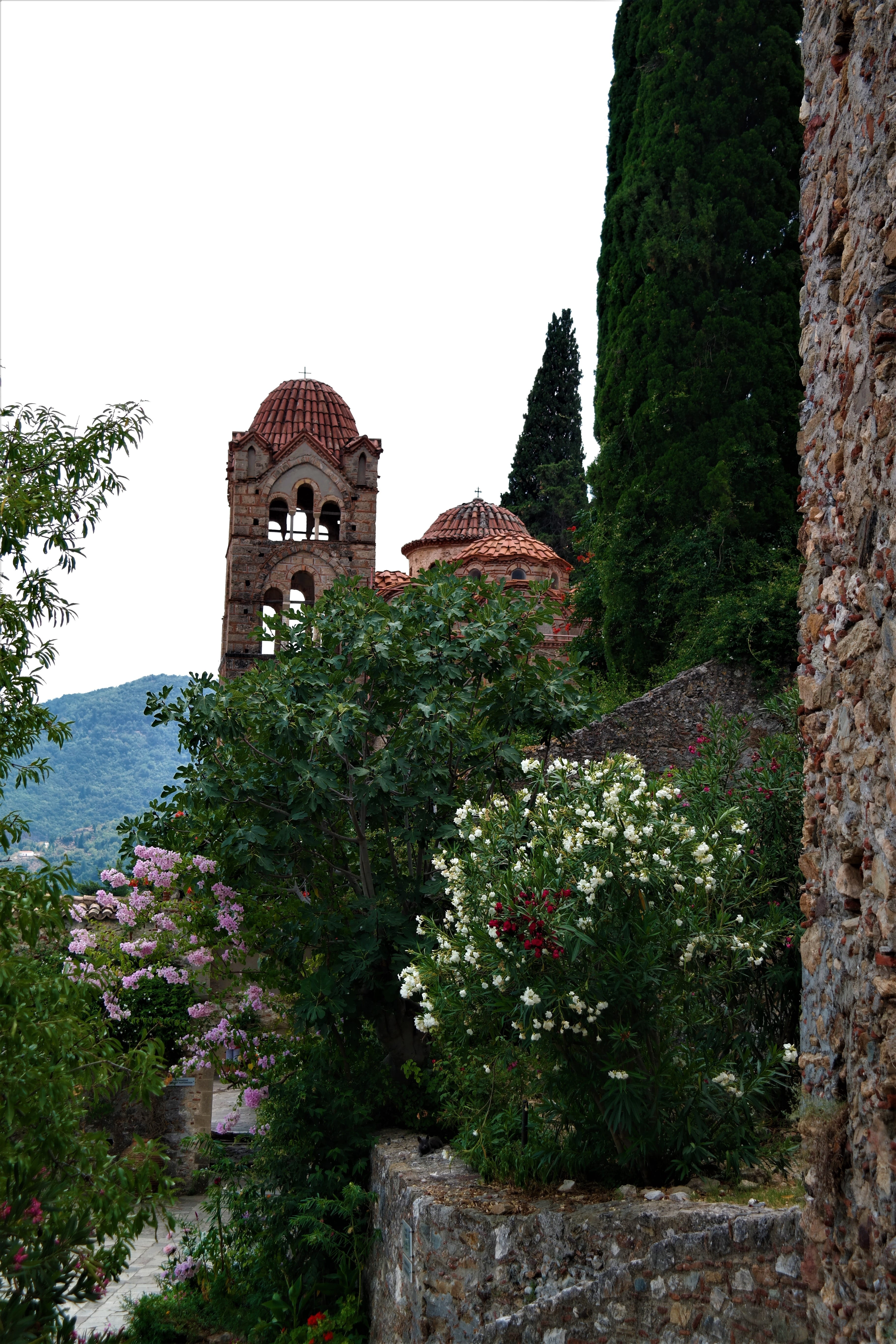 plant, religion, place of worship, outdoors, building, low angle view, tree, no people, day, the past, nature, byzantine, monastery, ruined city, clock, Phone HD Wallpaper