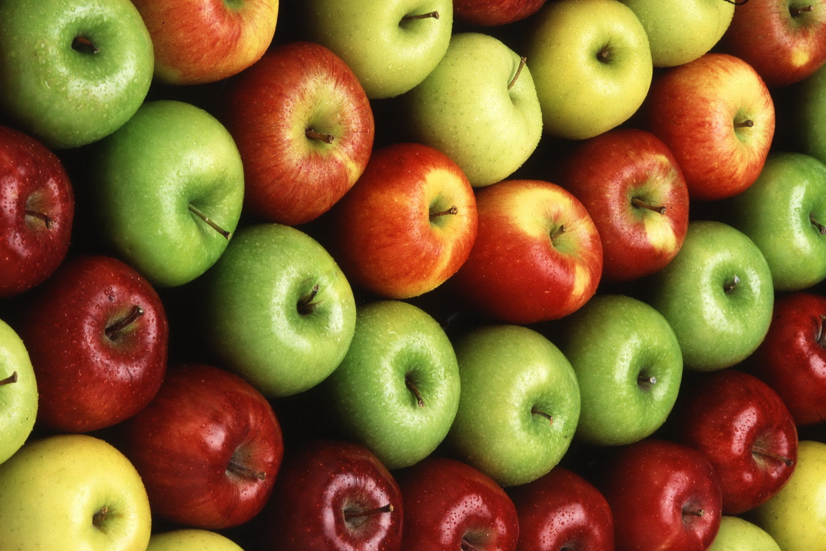 fruit, 2K, symmetry, colorful, apples, HD Wallpaper