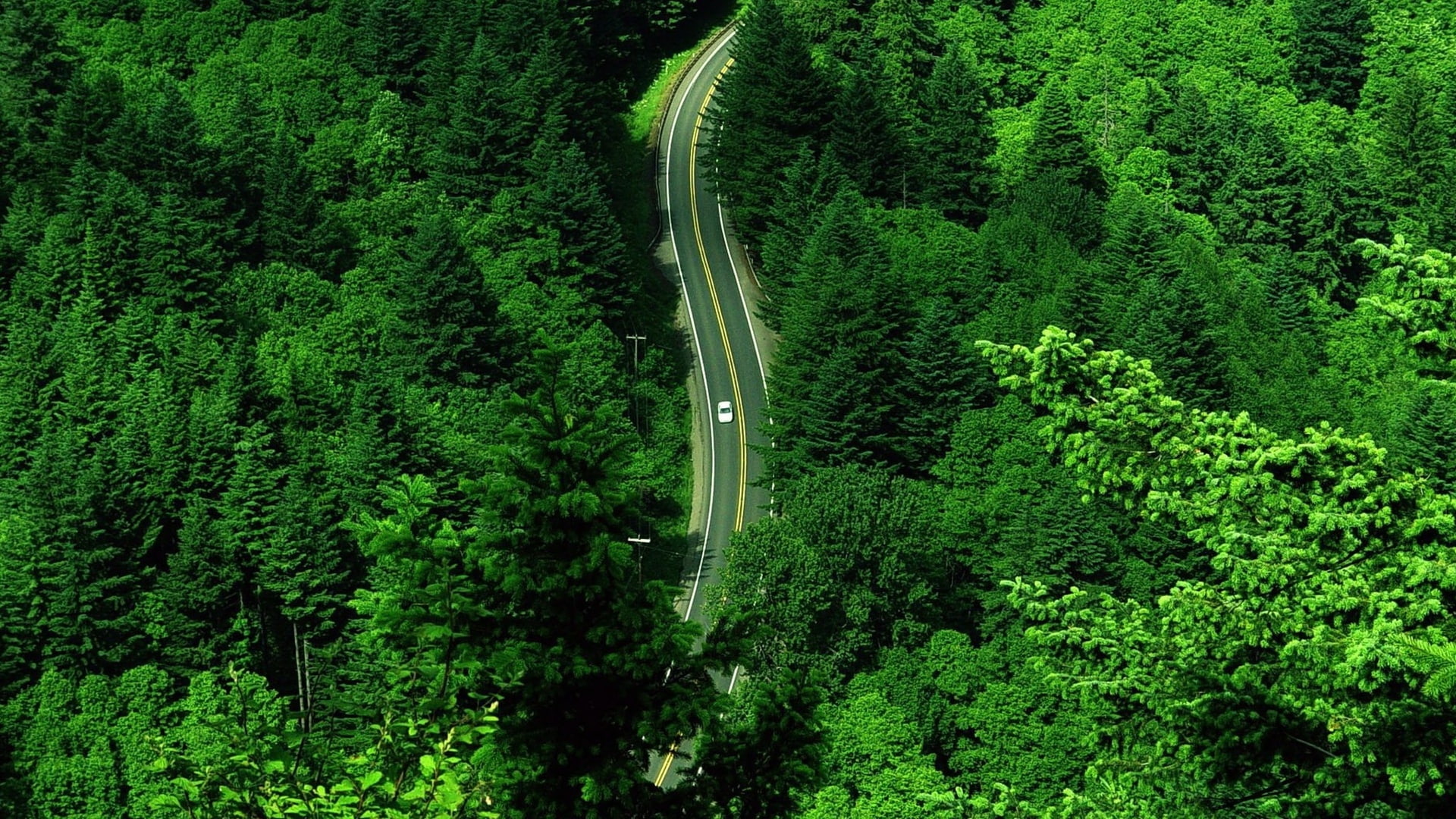 nature, day, non-urban scene, growth, plant, motion, transportation, 1080P, high angle view, beauty in nature, landscape, tranquility, green color, lush foliage, HD Wallpaper