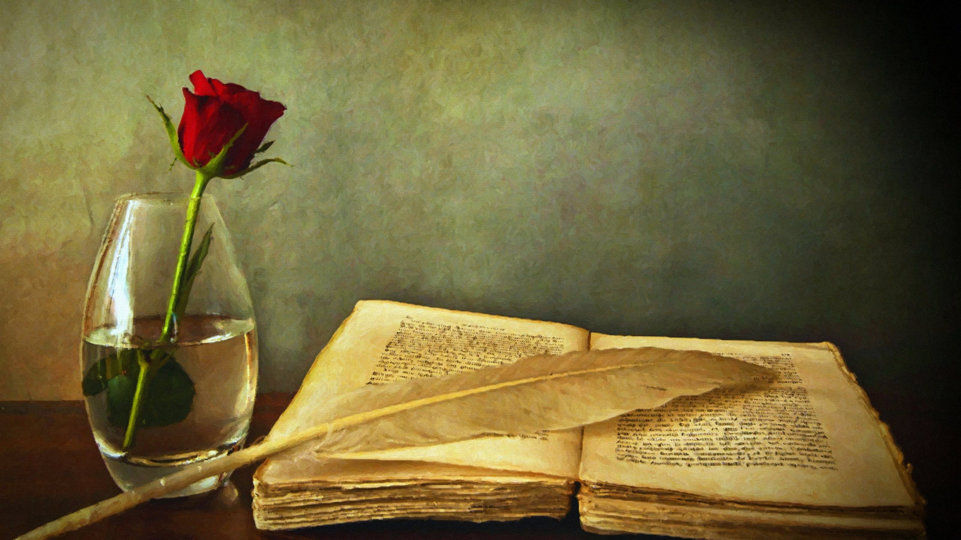 wall - building feature, no people, wine, rose - flower, drink, table, vases, container, flowering plant, quills, red flowers, flower, book, flowers, paper, HD Wallpaper