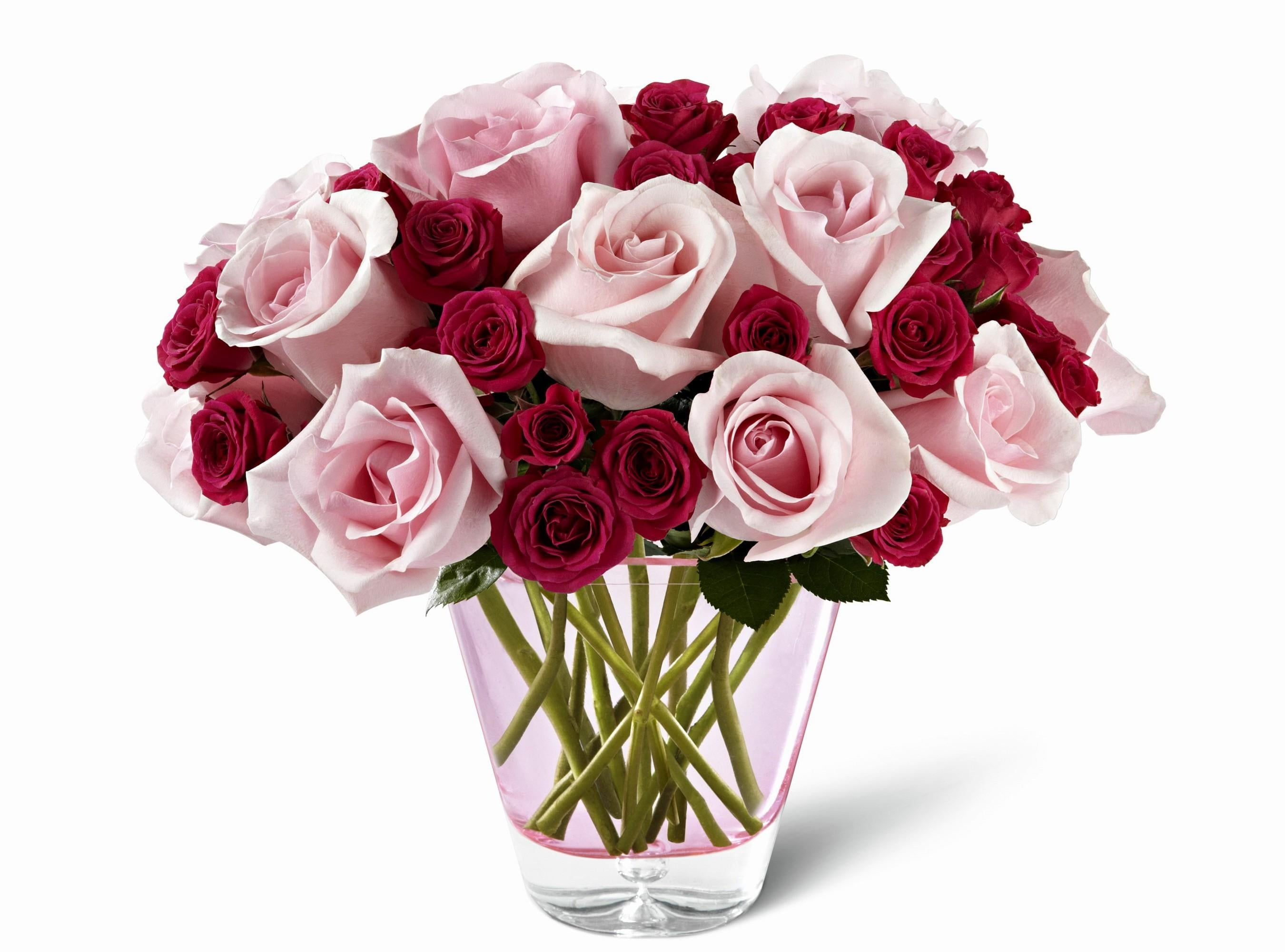 pink, white Background, no people, decoration, flower arrangement, bouquet, close-up, celebration, wedding, vulnerability, inflorescence, flower Head, vase, HD Wallpaper