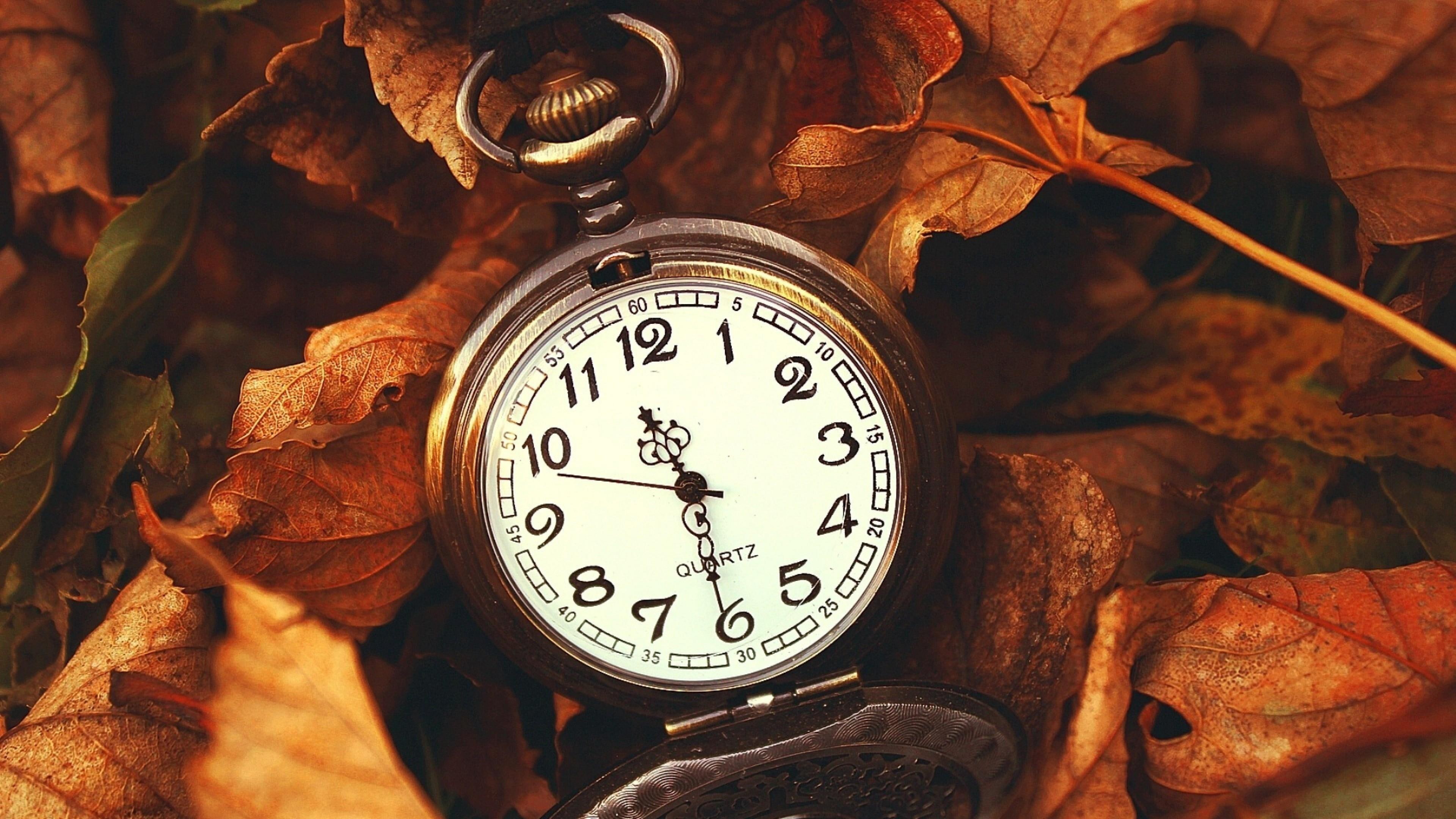 pocket watch, time, autumn, life, watch, leaves, 4K, HD Wallpaper