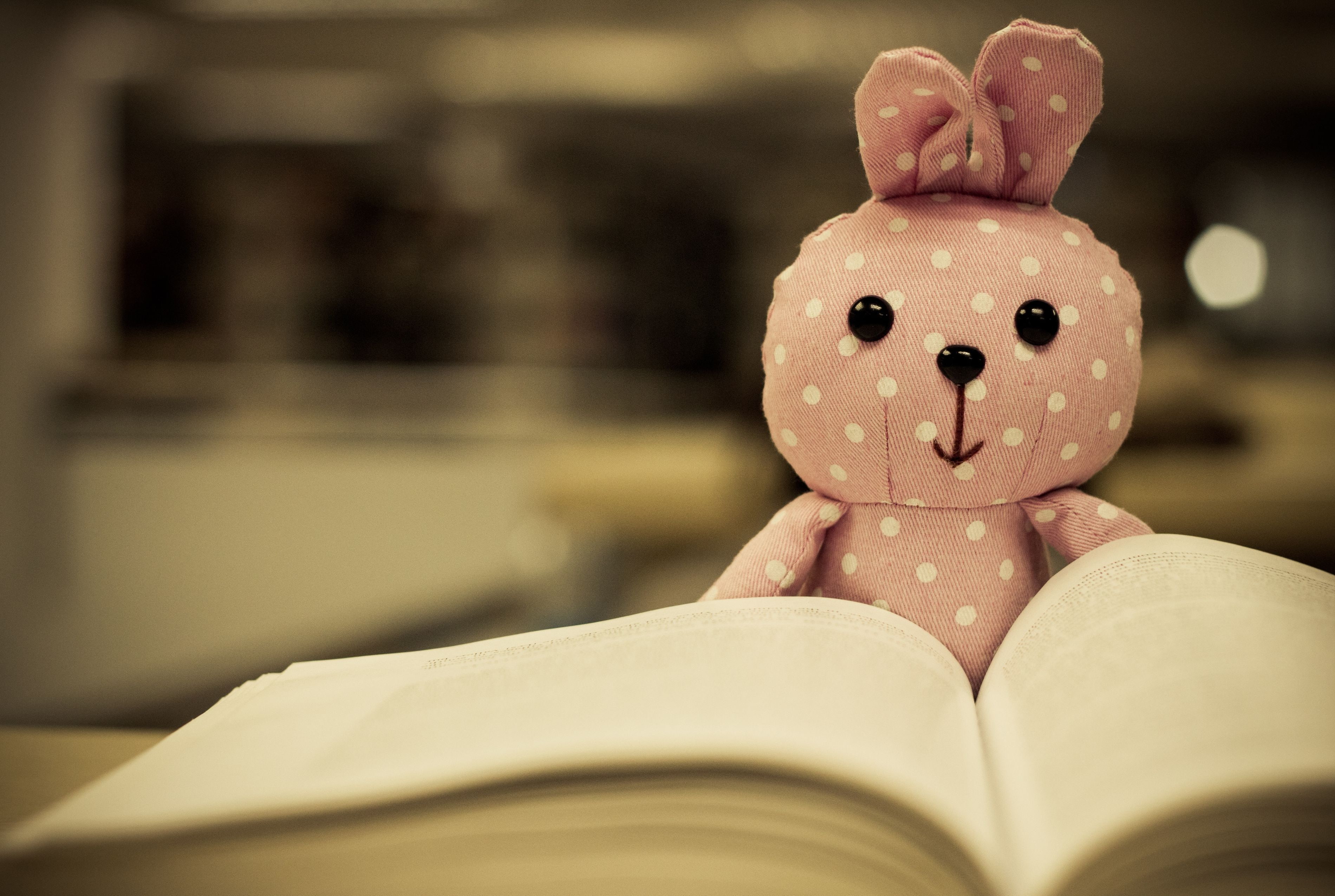 mood, book, toy, teedy, 2K, bokek, HD Wallpaper