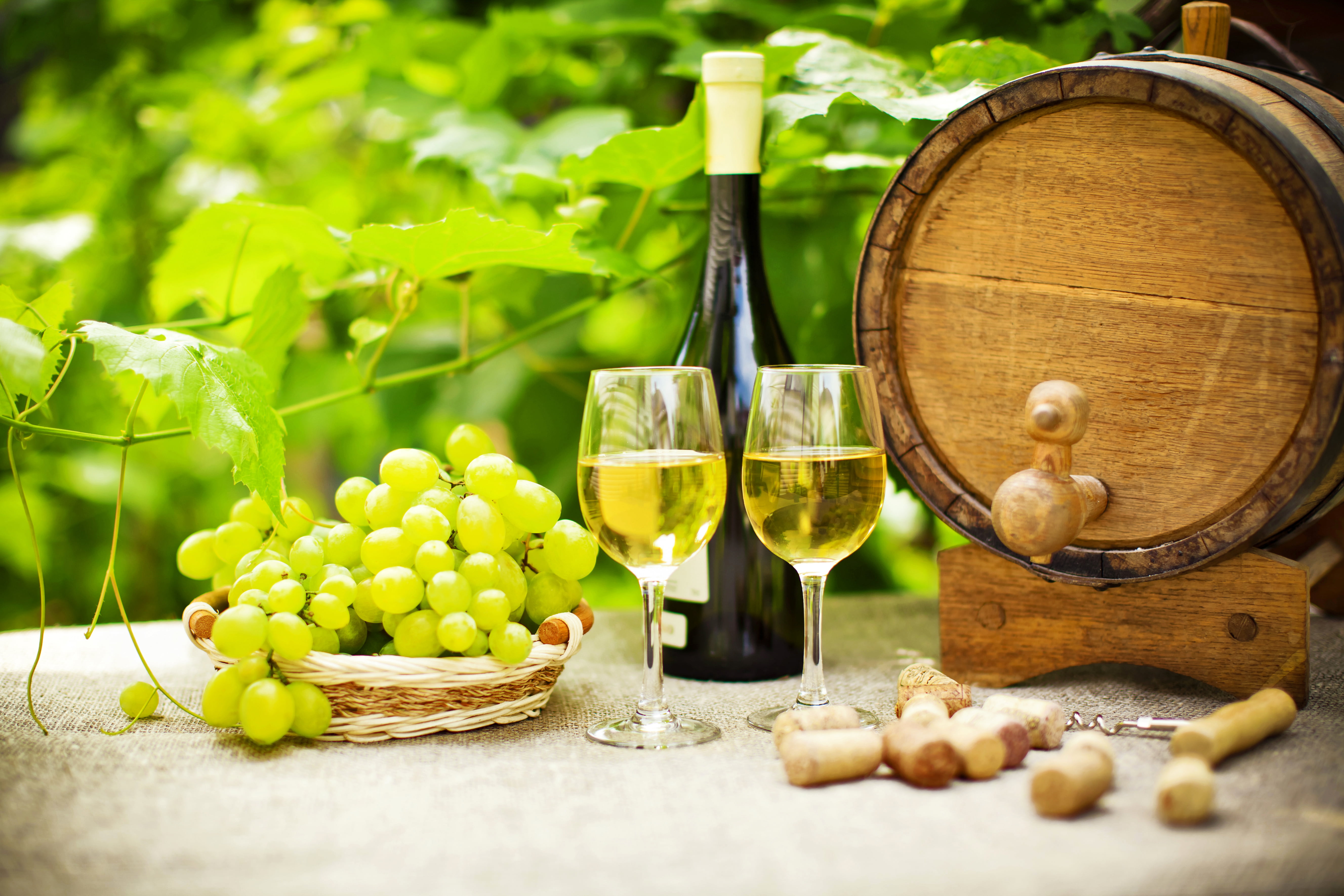 garden, bottle, wine, table, glasses, barrel, grapes, tube, 5K, corkscrew, greens, HD Wallpaper