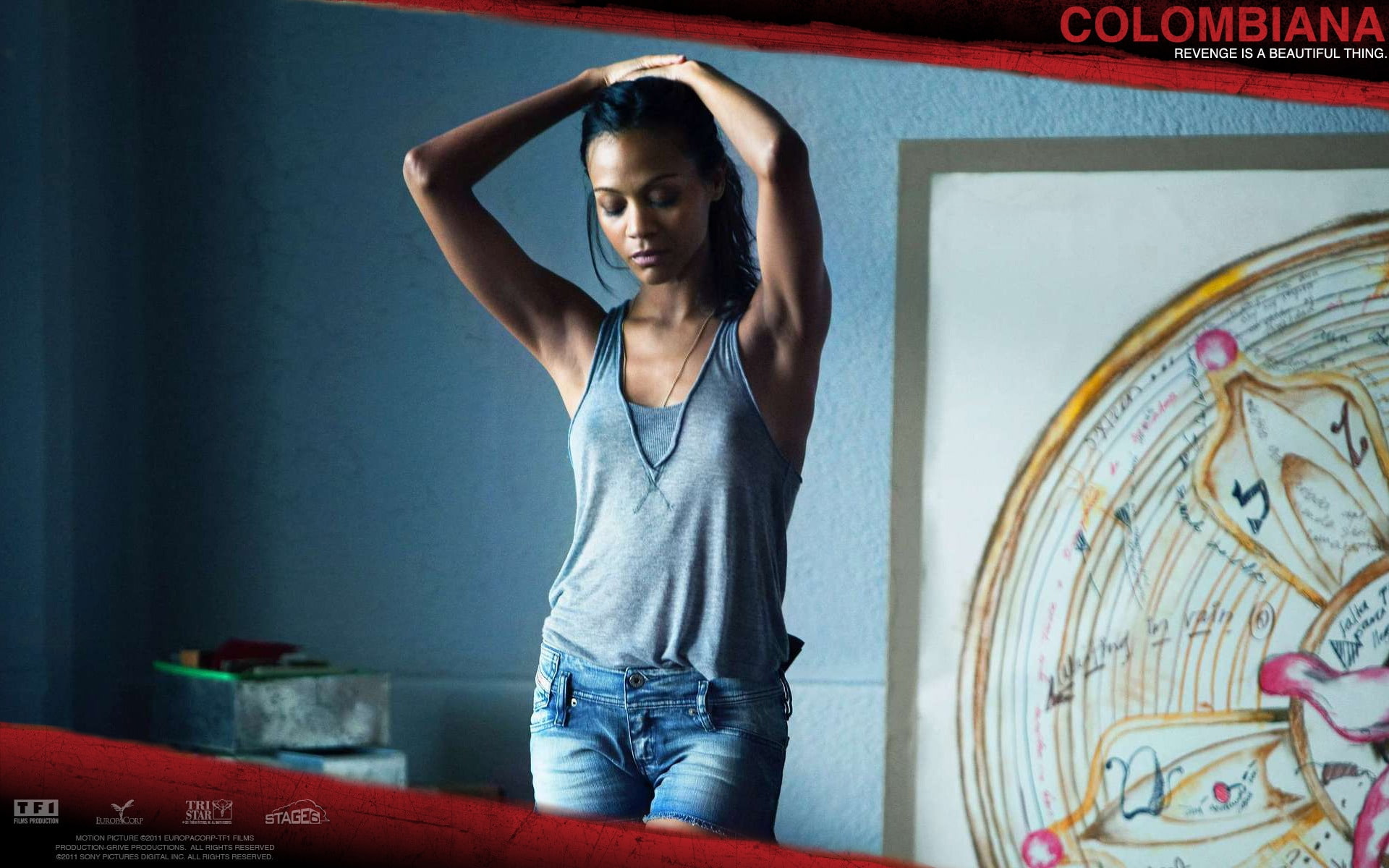 movie, 1080P, colombiana, Zoe Saldana, HD Wallpaper