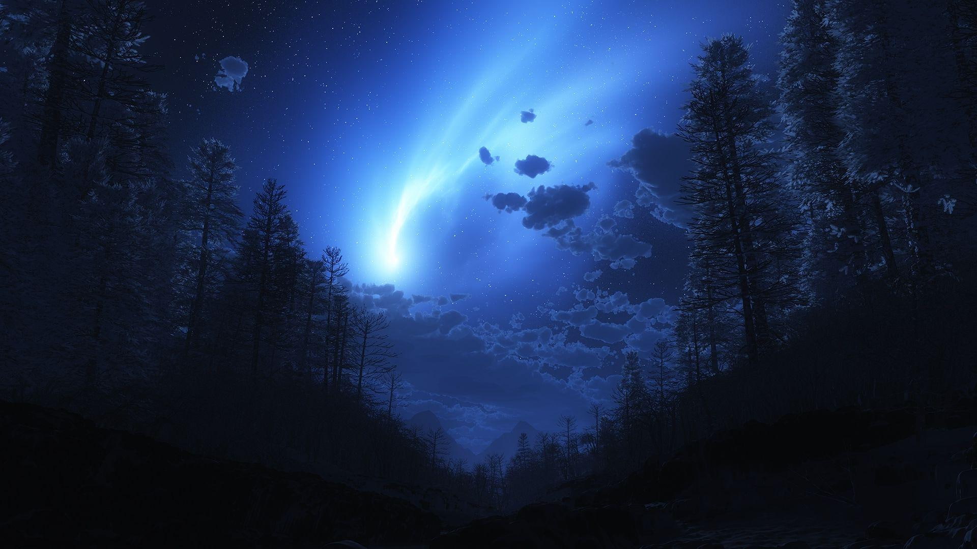 star, 1080P, lights, white, light, photography, sky, night, forest, 1920x1080, HD Wallpaper