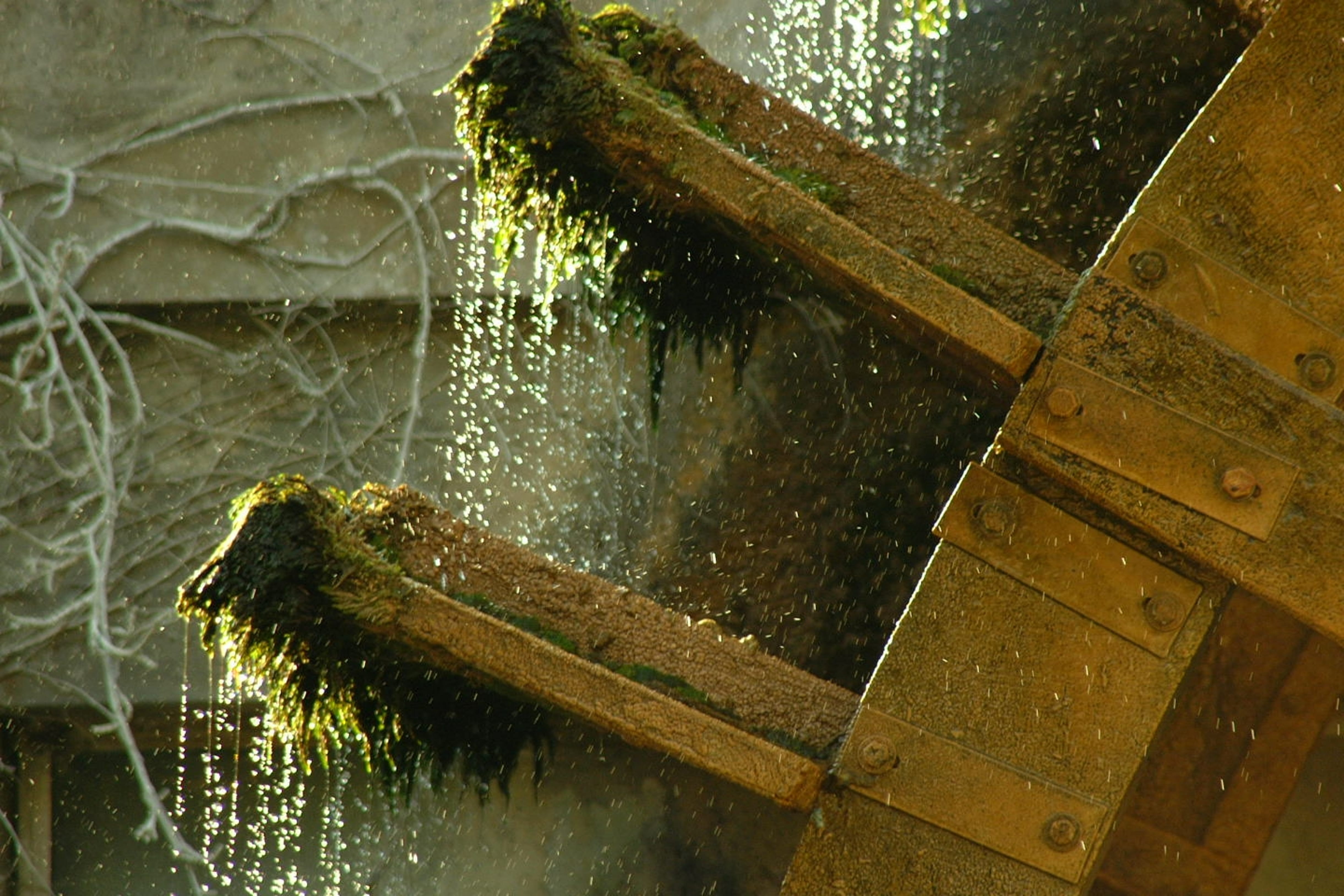 sprinkler, plant, drinking fountain, sunlight, lake, apiary, surface, waterwheel, one animal, fontaine-de-vaucluse, reflection, no people, day, animal themes, HD Wallpaper