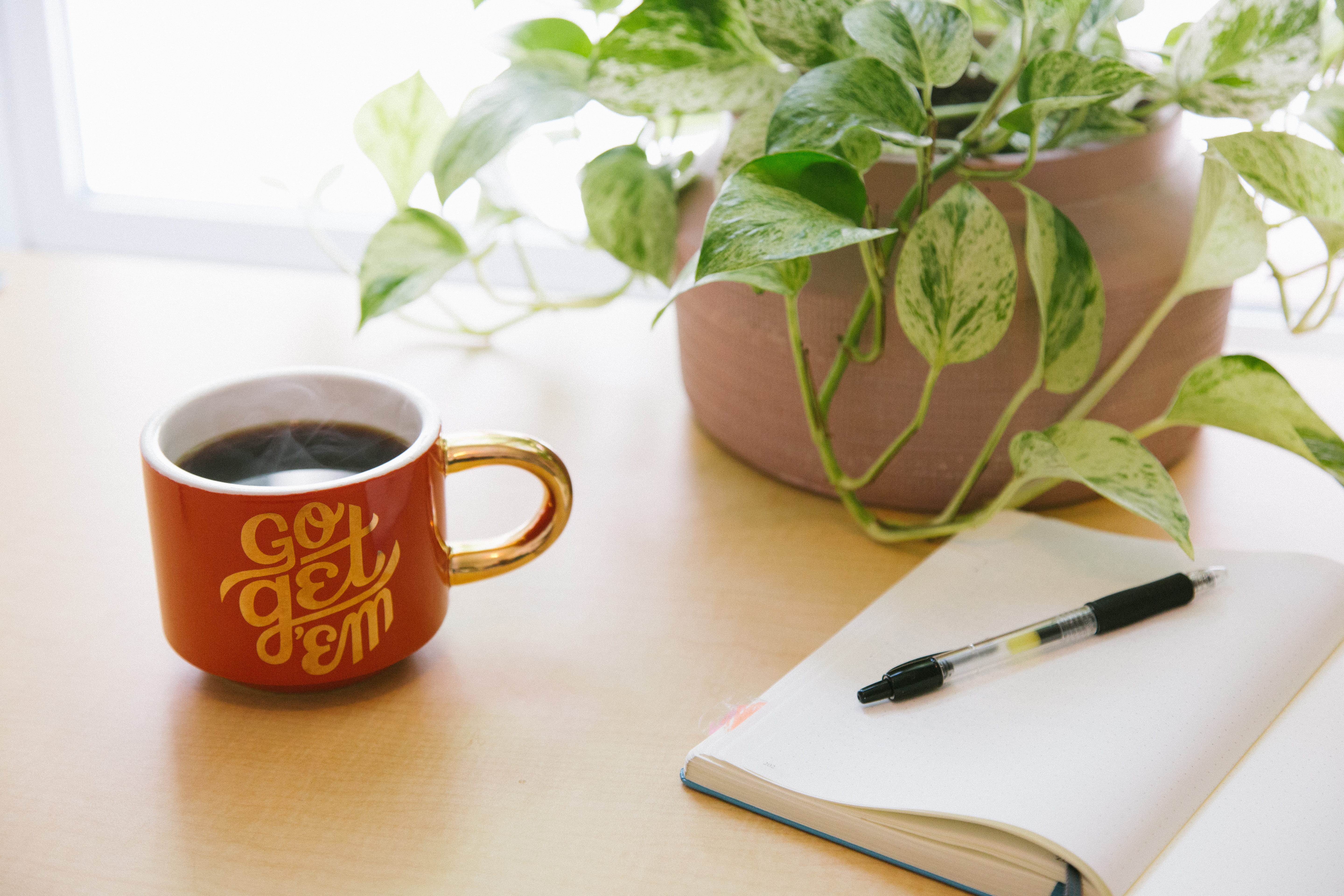 red, tea cup, hot drink, leaf, mug, indoors, em, coffee cup, nature, inspire, book, plan, white, coffee and notebook, communication, beverage, refreshment, HD Wallpaper