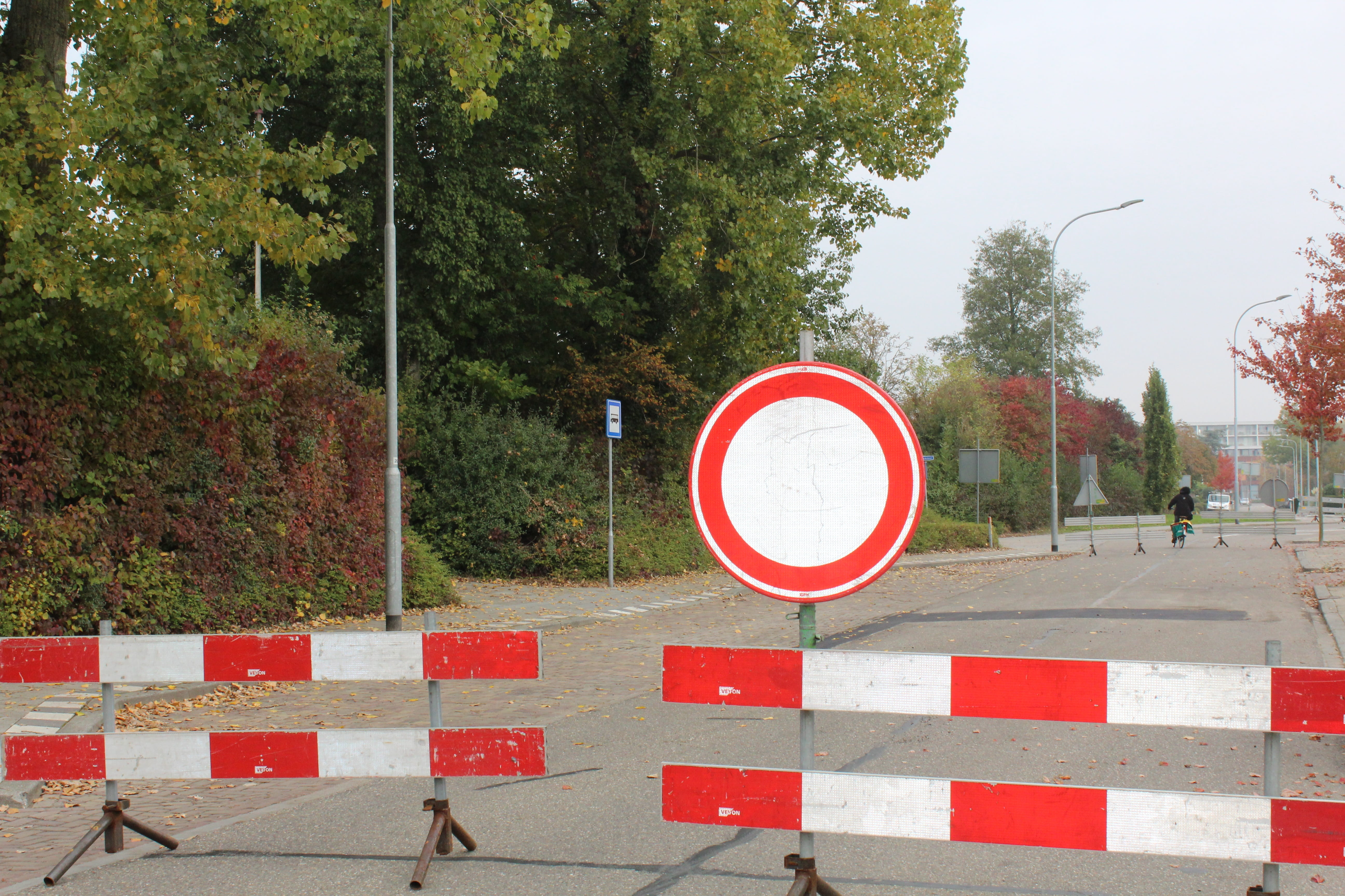 exclusion, shape, Sign, no people, day, warning Sign, Road, communication, tree, signs, outdoors, white, roadblock, construction, city, red, traffic, barrier, HD Wallpaper