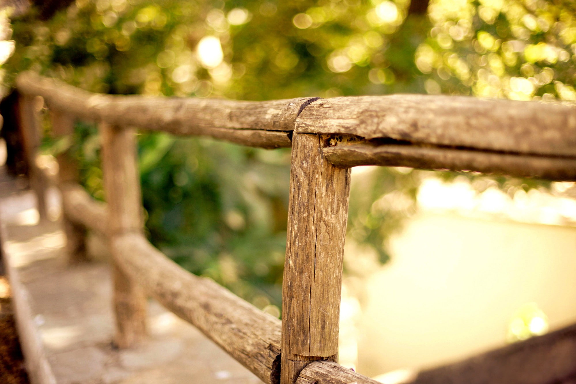 wood, 1080P, trees, herbs, fence, wooden, wooden fence, bokeh, HD Wallpaper