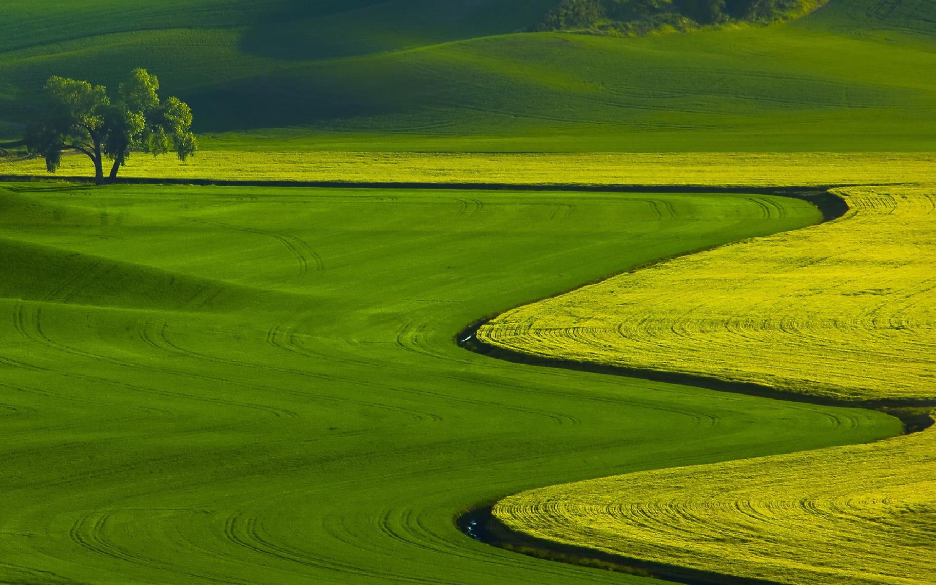 picture, 3d and abstract, geen, land, l, 1080P, beautiful, HD Wallpaper