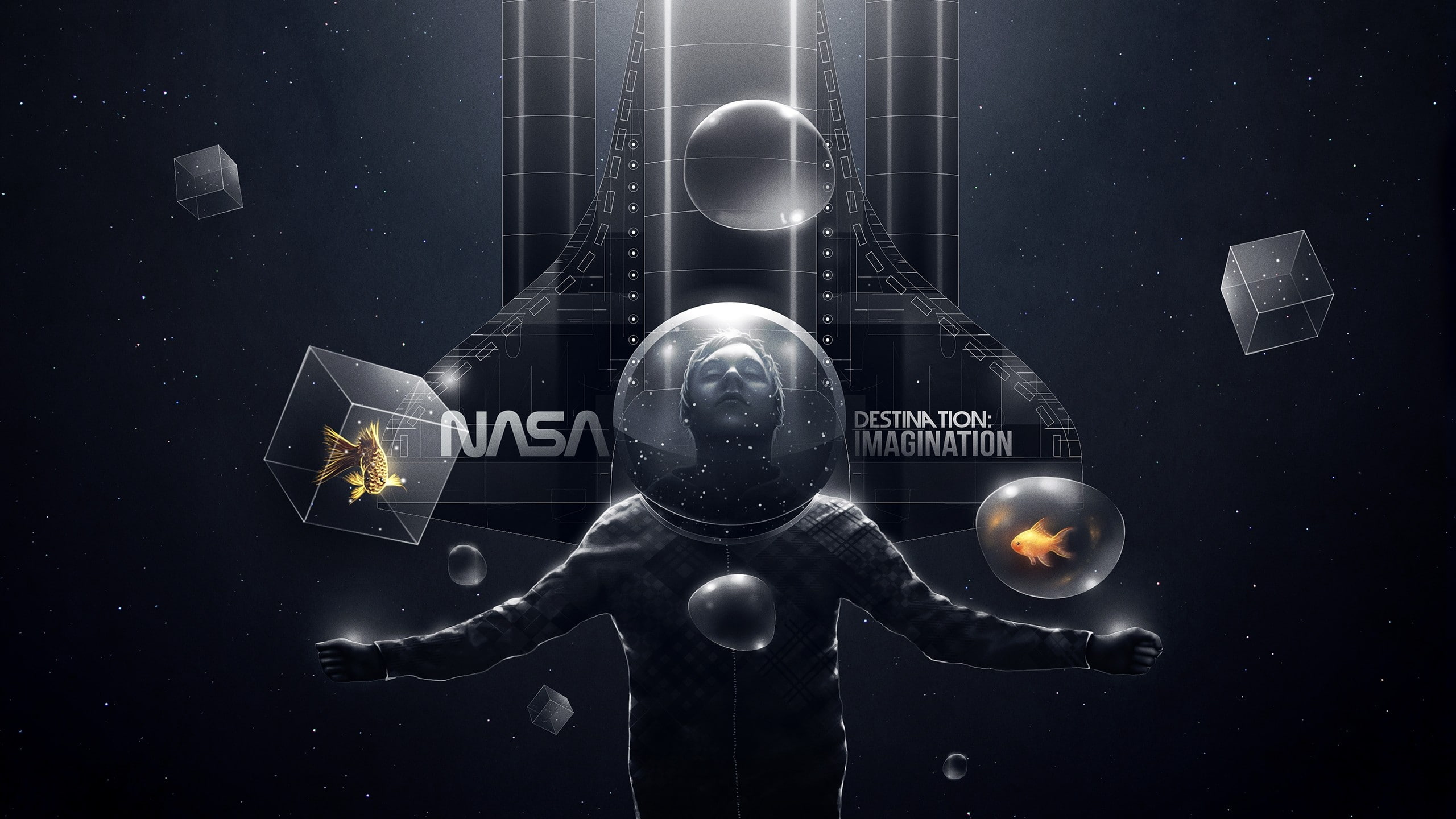Suits, outer, spaceships, Cubes, baumgartner, fantasy, birds, stars, 2K, animals, bubbles, NASA, felix, space, imagination, particles, Dark, abstract, HD Wallpaper