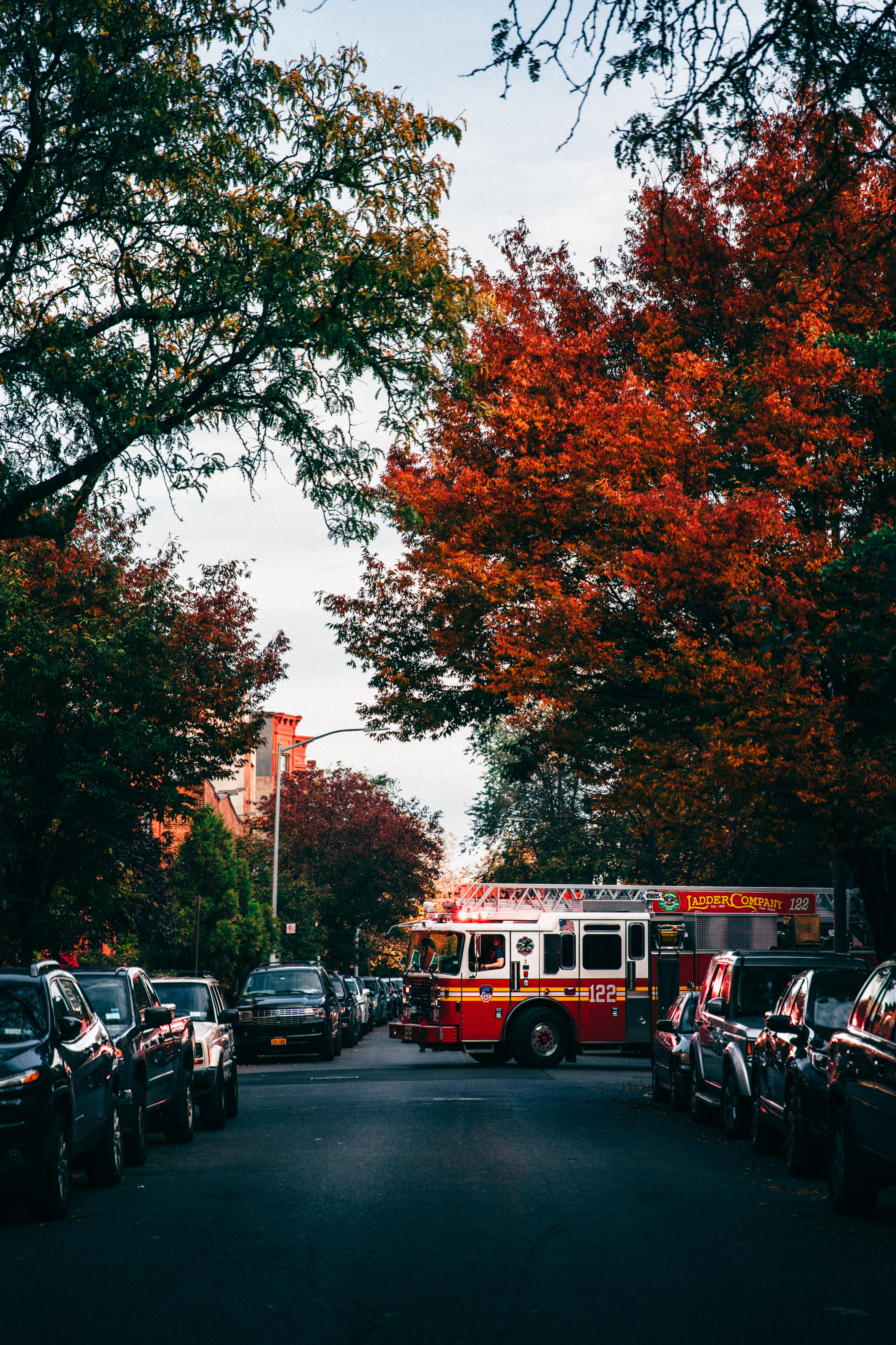 5K, nature, filled, landscape, growth, road, orange color, no people, red, vehicles, city, car, fire truck, crossing, firetruck, fire, tree, parked, mode of transportation, Phone HD Wallpaper