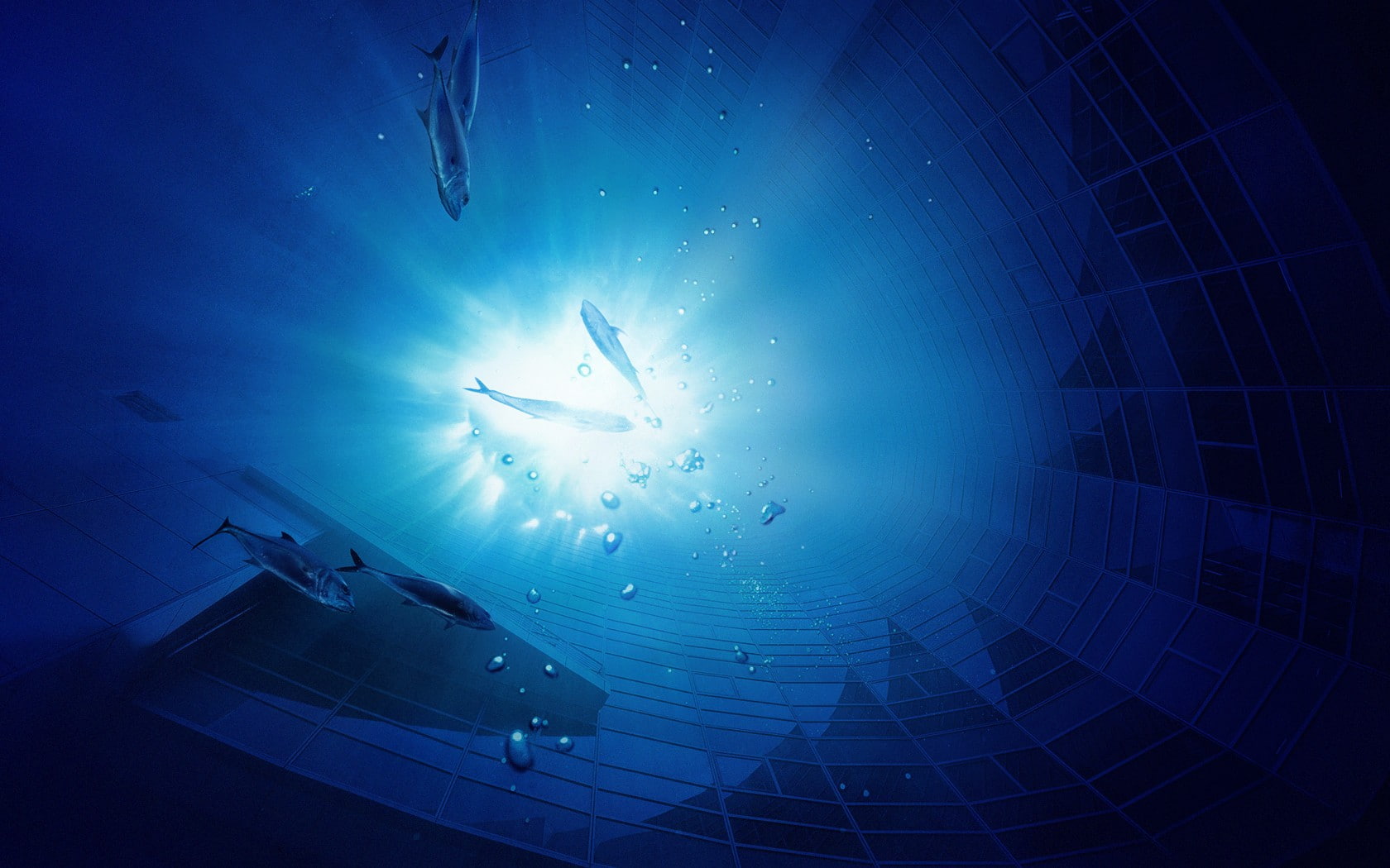 digital art, surreal, 720P, fish, blue, animals, underwater, HD Wallpaper