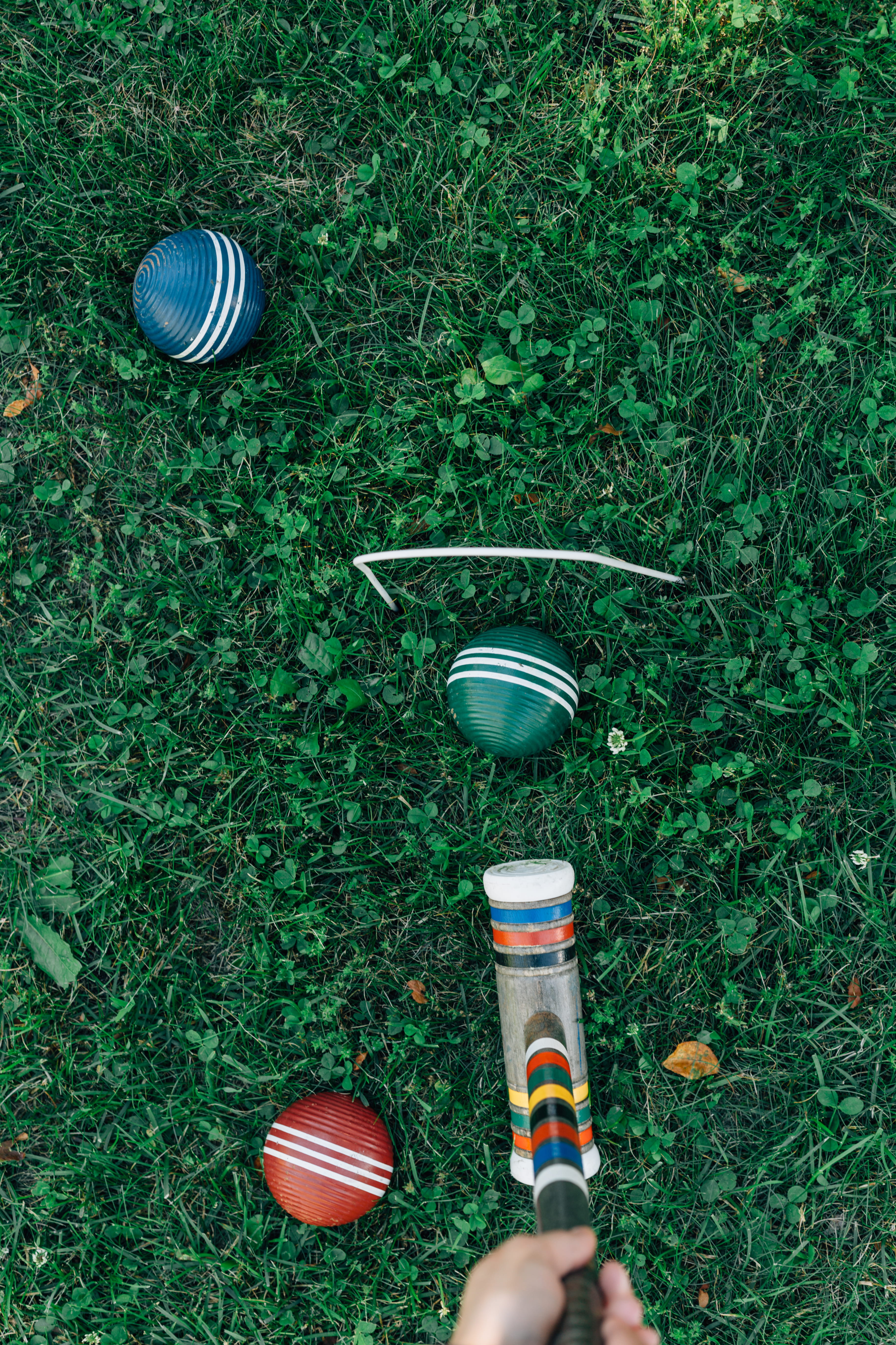 nature, outdoors, person, bat, historic, container, elegant, elevated, classy, manor, wooden, human hand, green, one person, 5K, classic, balls, edcuated, Phone HD Wallpaper