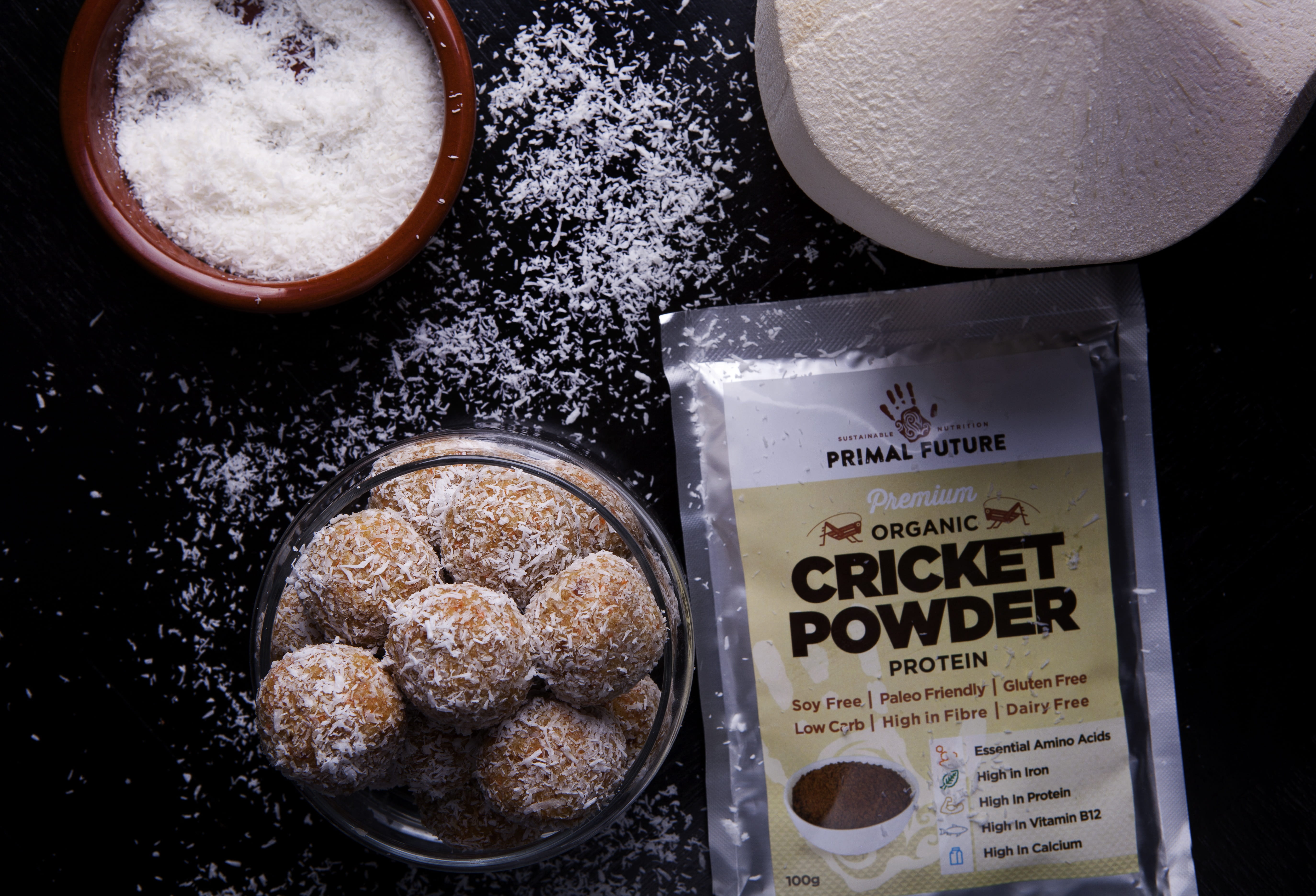 dessert, bites, cricket powder, indoors, sugar, new zealand, indulgence, snack, entomo, still life, kitchen utensil, premium, cricket, paleo, entomophagy, HD Wallpaper