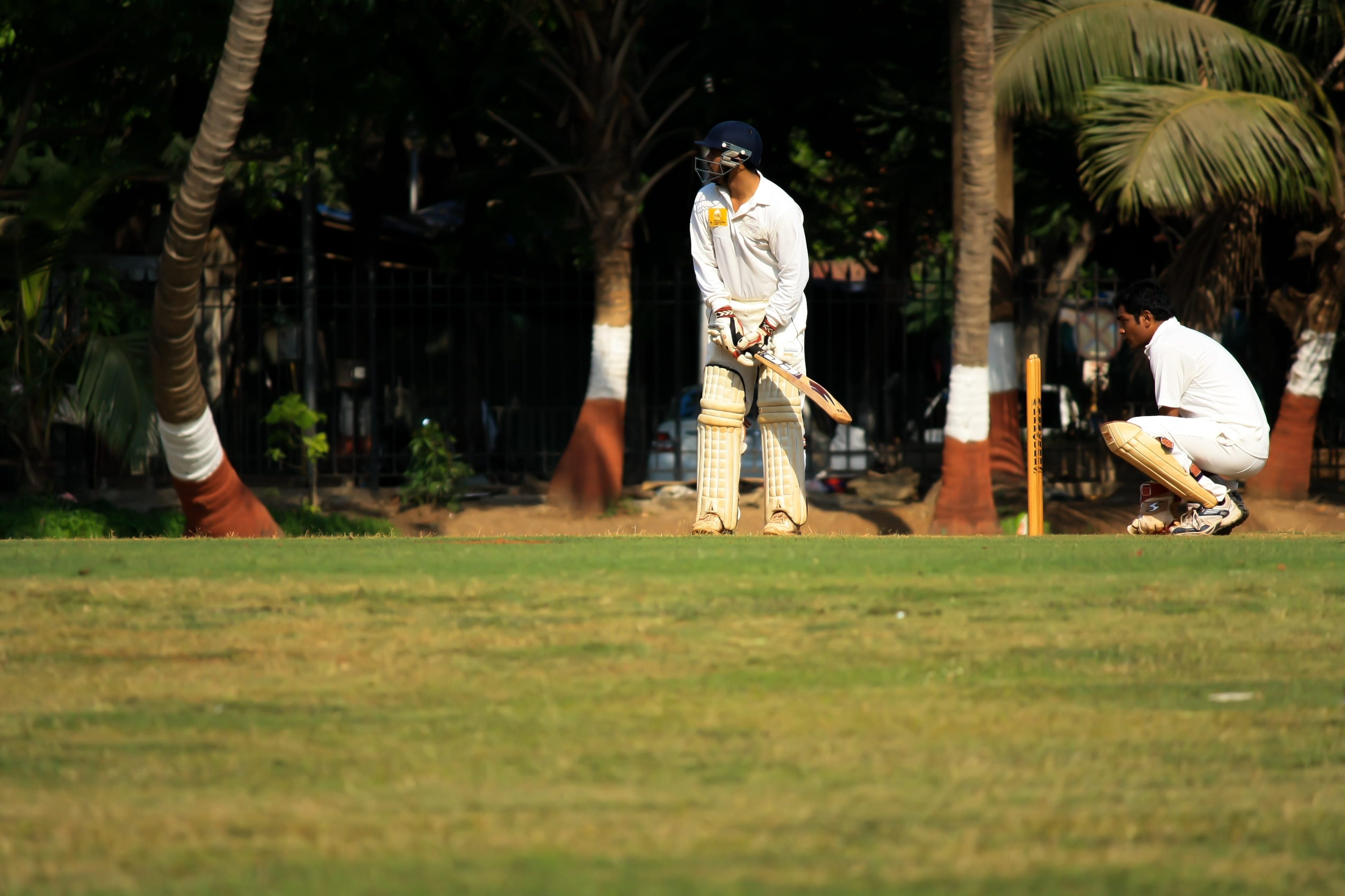 sports, people, cricket, ball game, batsman, full length, player, defensive, field, men, plant, day, grass, batting, clothing, lifestyles, standing, wicketkeeper, HD Wallpaper
