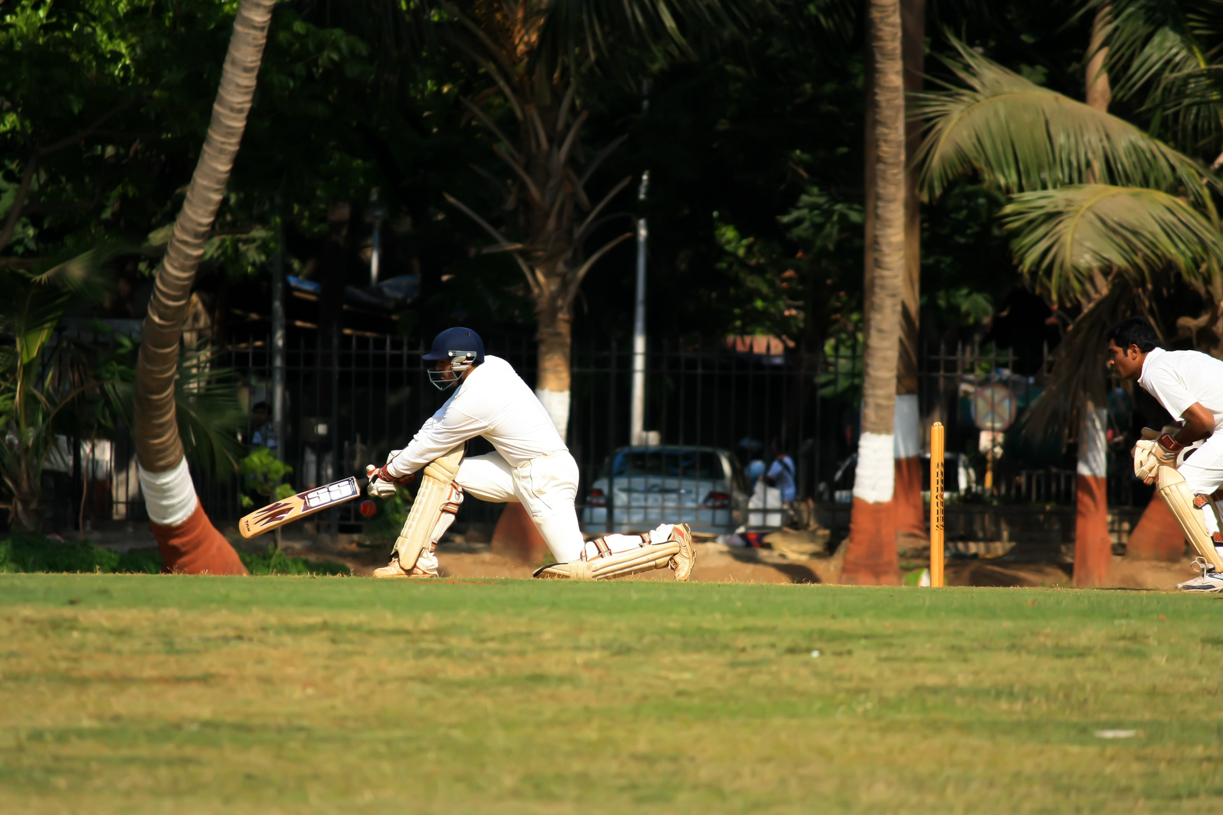 outdoors, men, playing, tournament, player, batsman, palm tree, wicketkeeper, sitting, day, competition, india, ball game, tree, nature, green color, people, HD Wallpaper