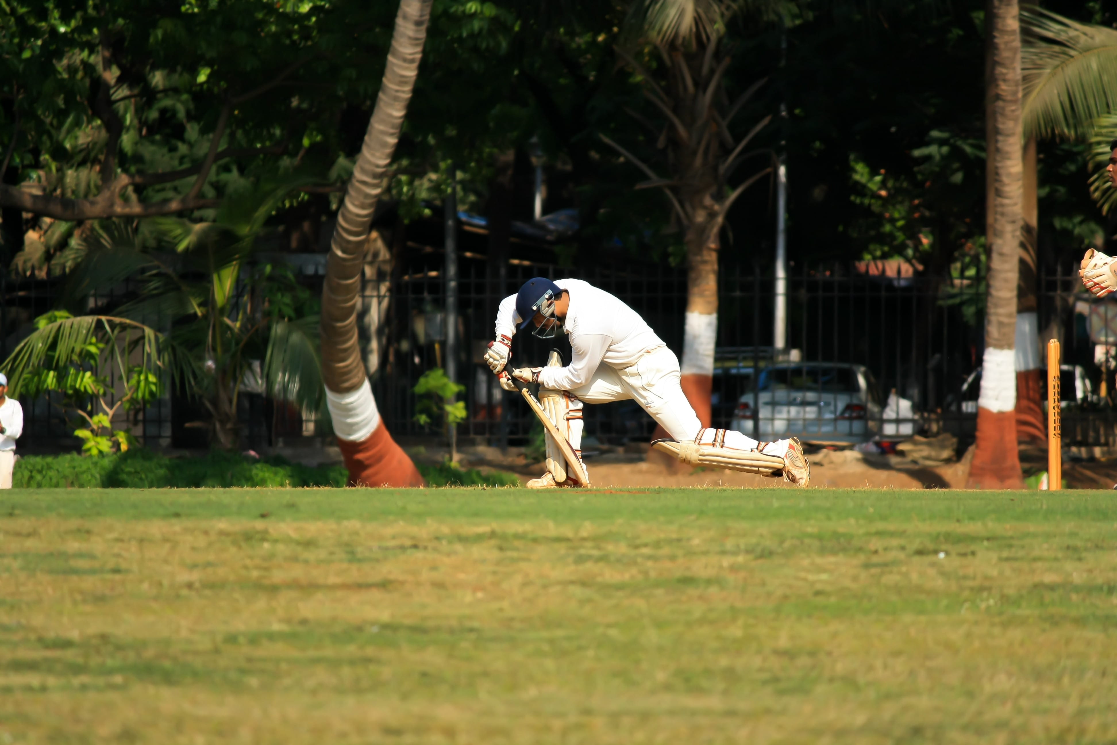 4K, day, daytime, lifestyles, sports, grass, cricket, playing, people, leisure activity, field, real people, man, nature, defence, outdoors, sport, tree, HD Wallpaper