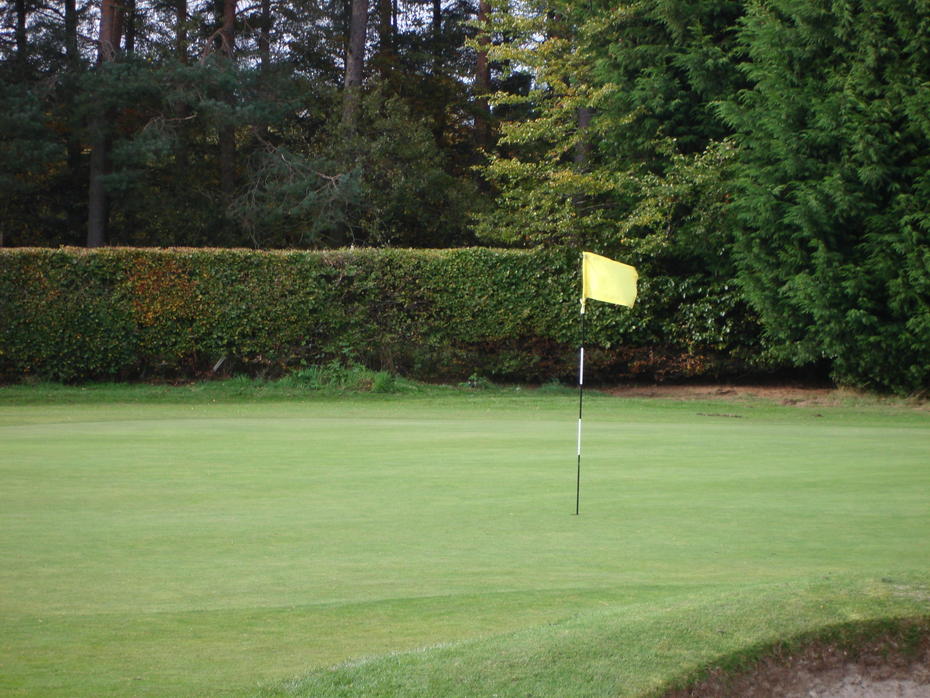 bogey, drive, putting, land, grass, fun, near, golf flag, flag, club, divot, match, absence, par, no people, nature, course, iron, pole, golf course, stroke, HD Wallpaper